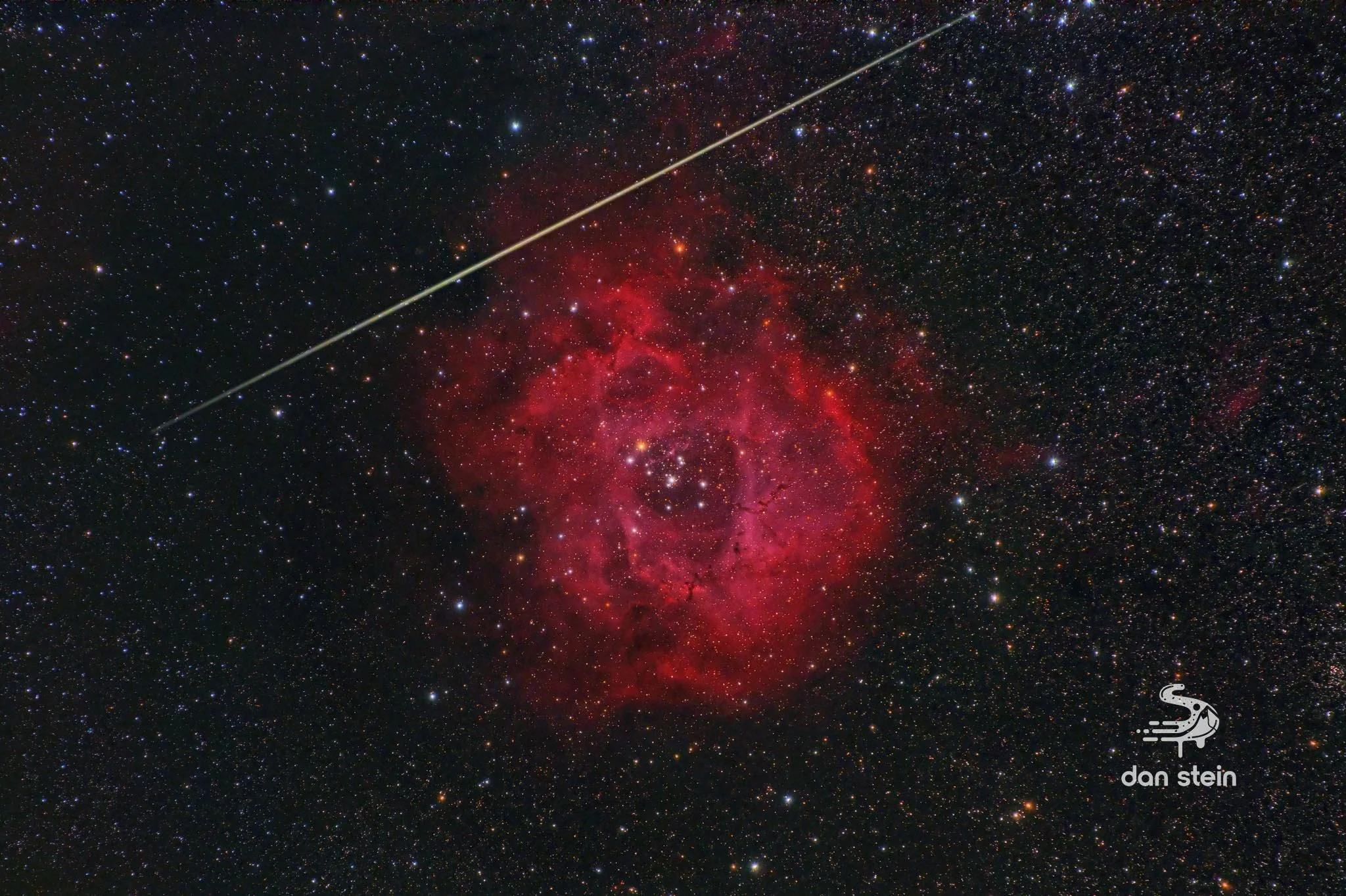Rosette With PISEdits.jpg