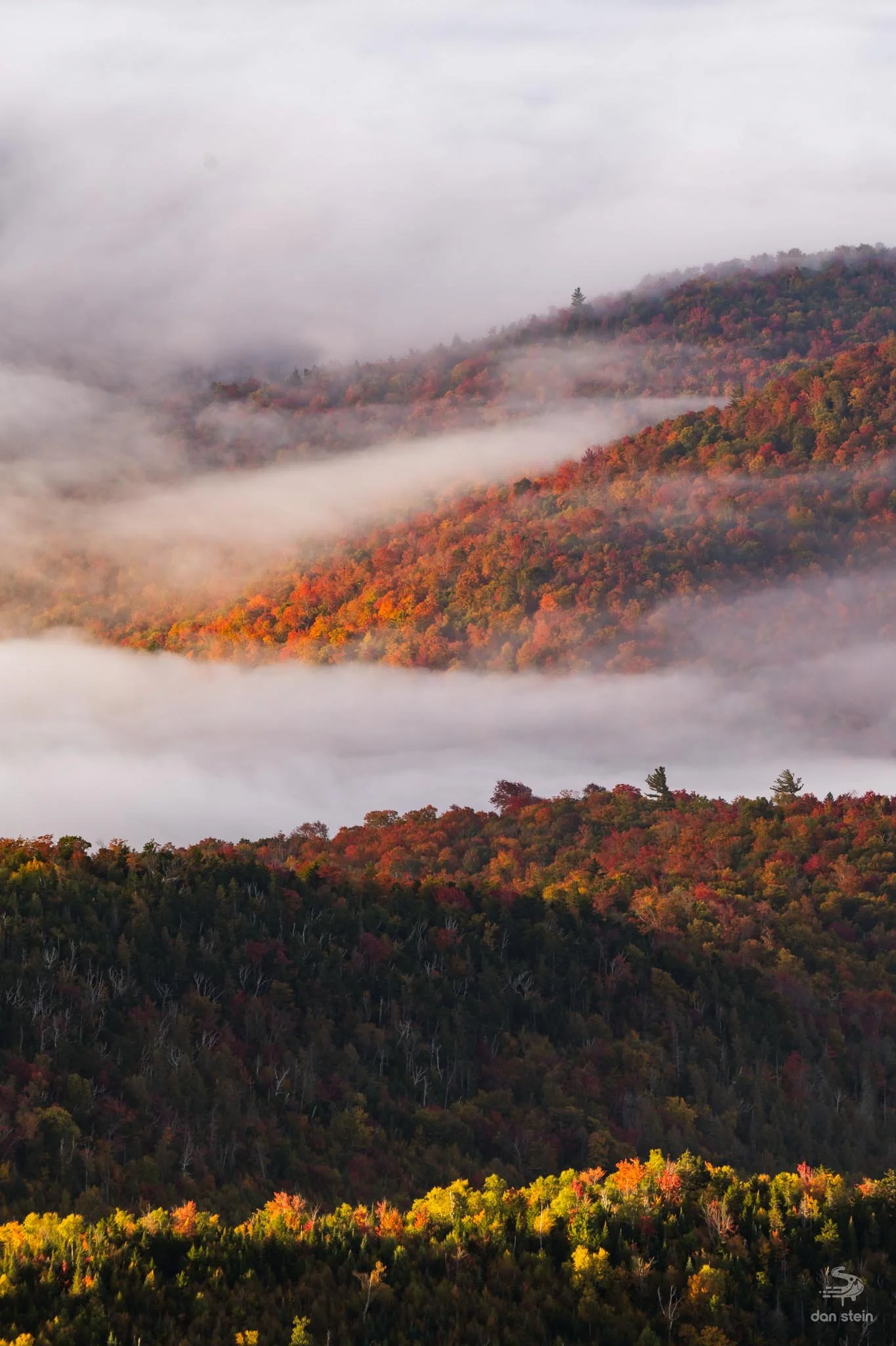 Adams Fall 24 Sunrise 3.jpg