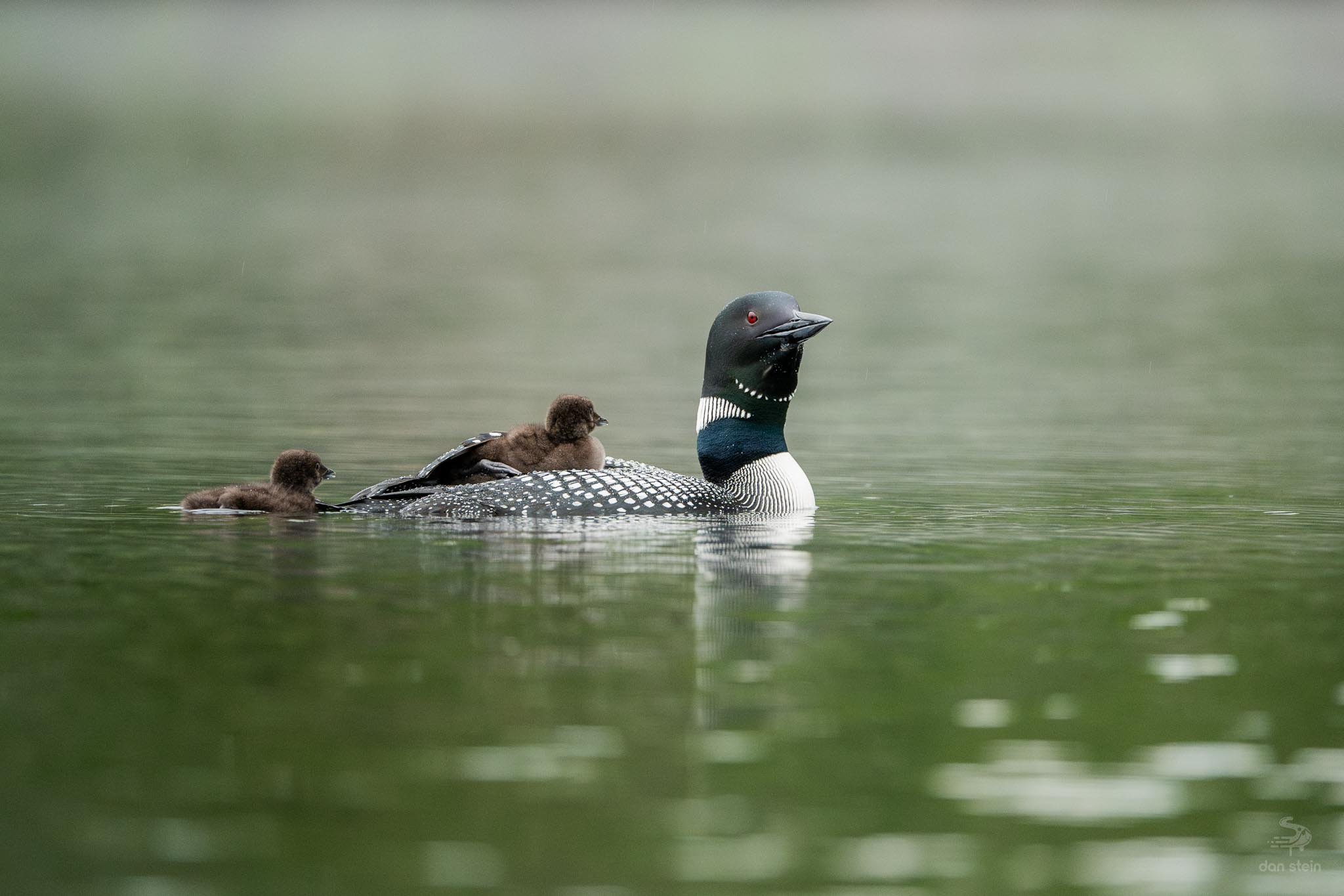 Loom 6-29-24 (17 of 23).jpg