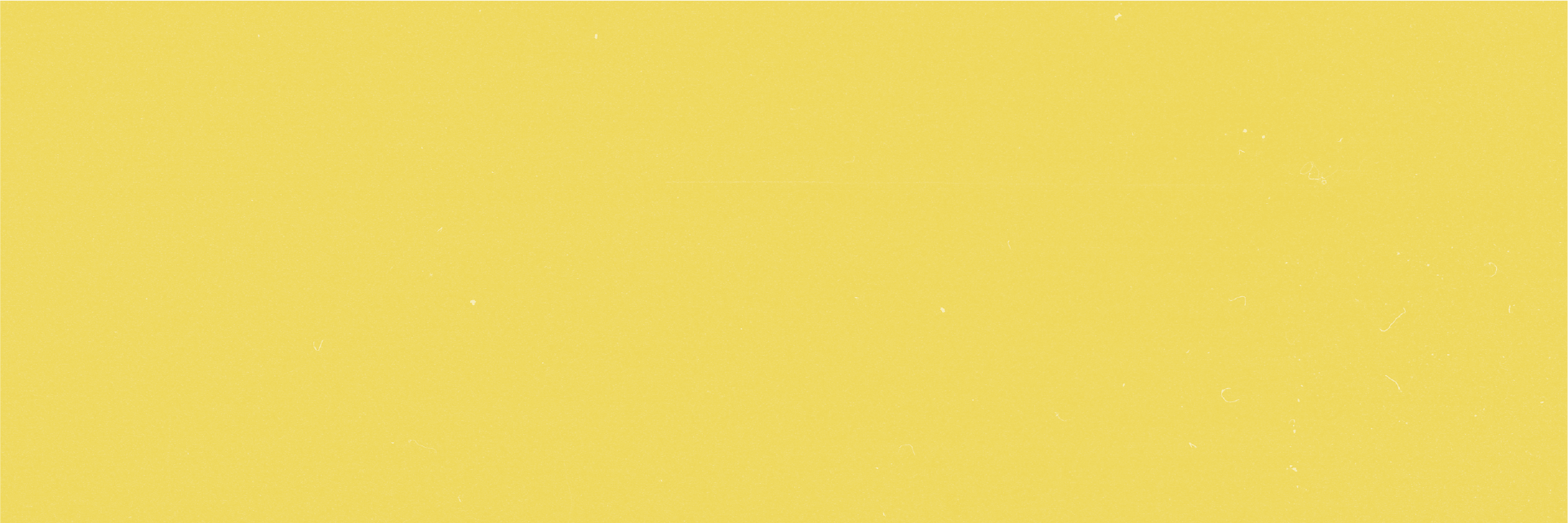 Internship_Tagline Block.png