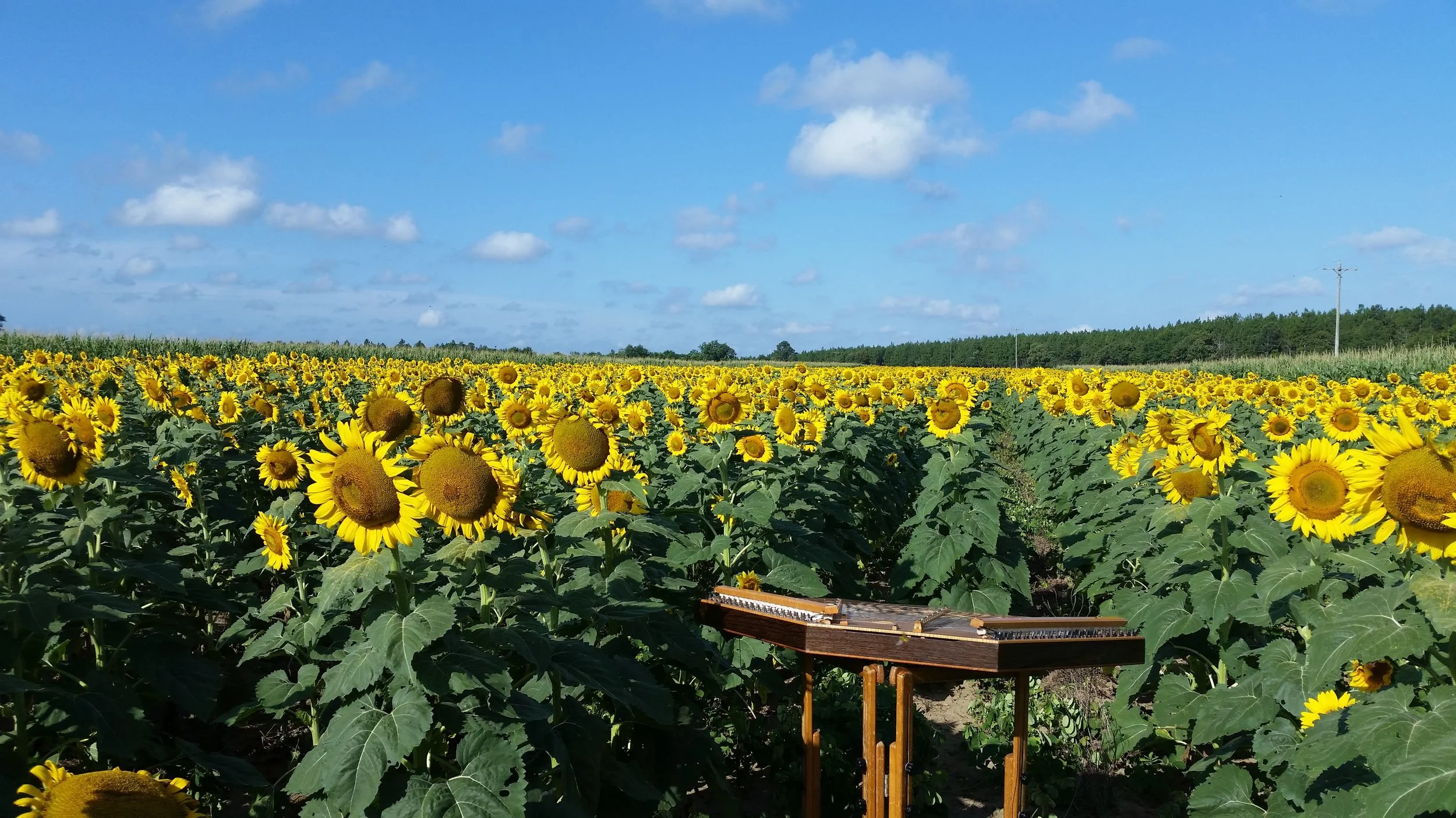 20180704_090223.jpg