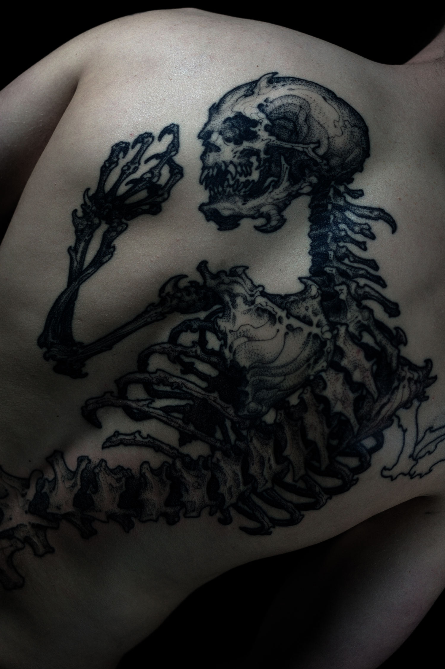 Skeleton
