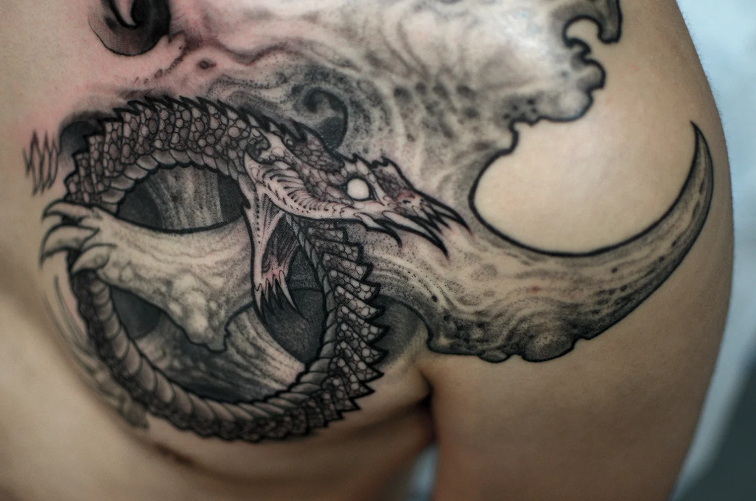 Ouroboros