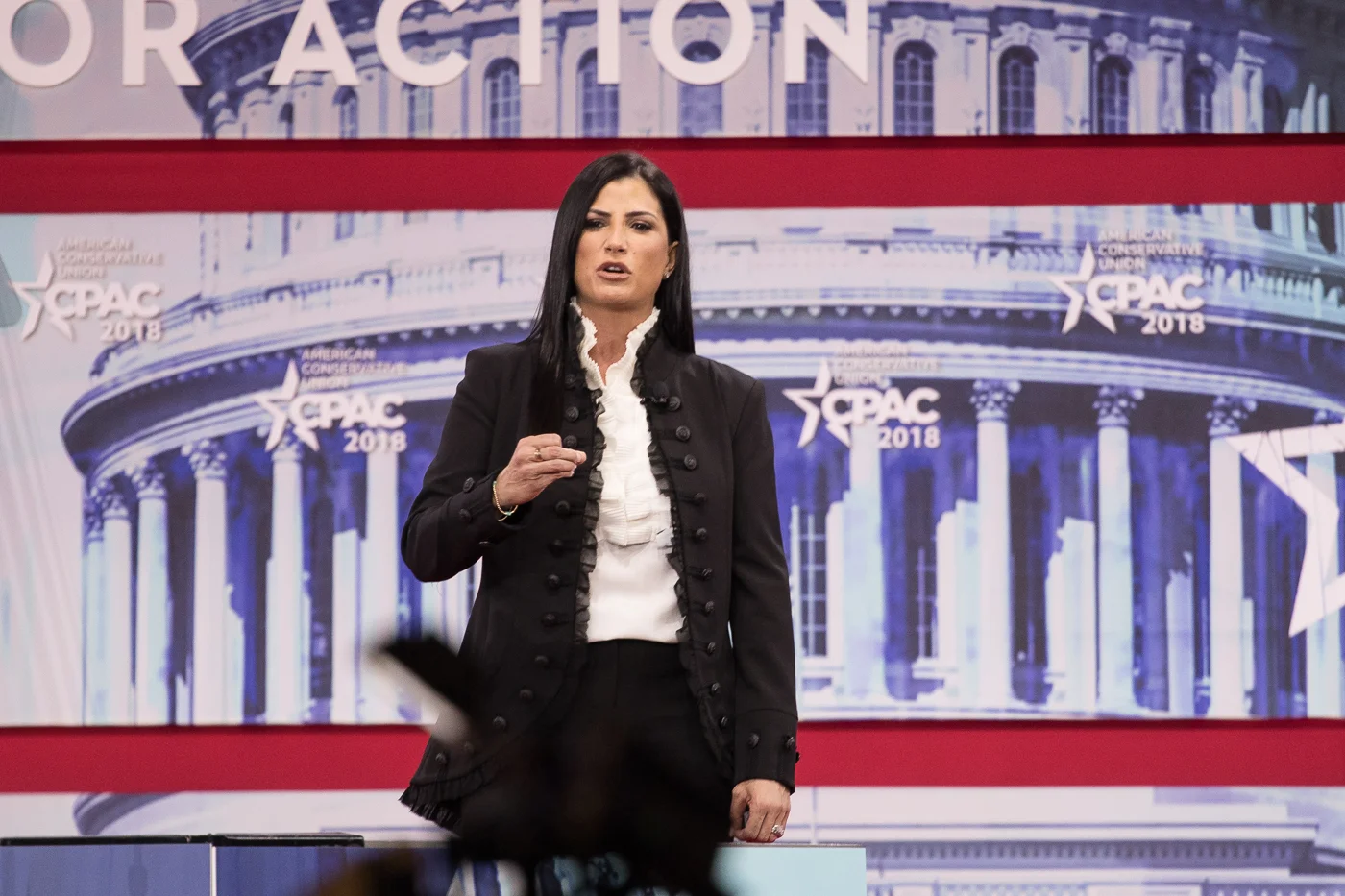 NRA Spokeswoman Dana Loesh