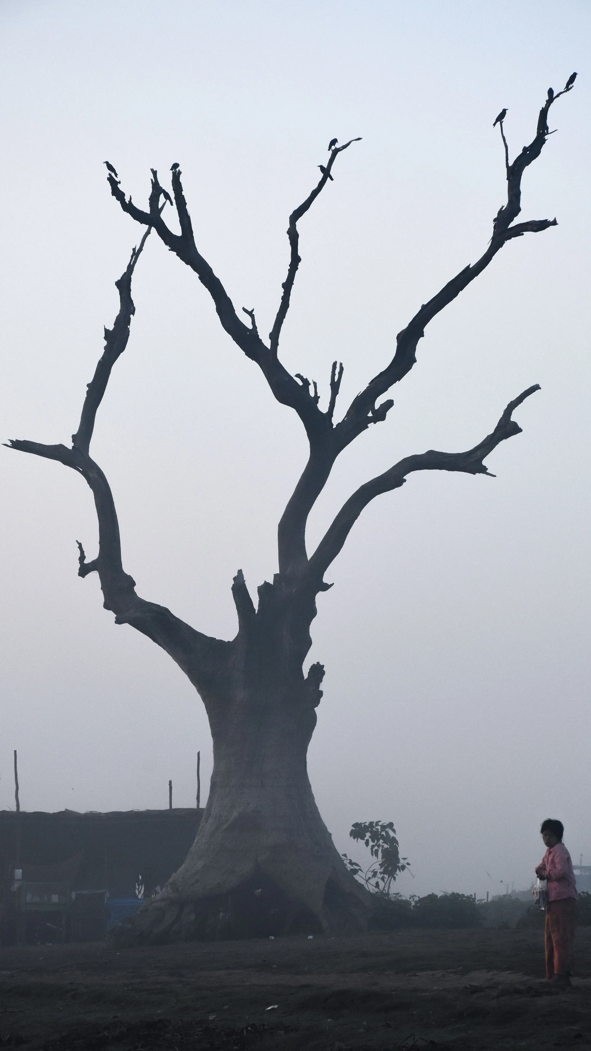 DSC_0277.jpg