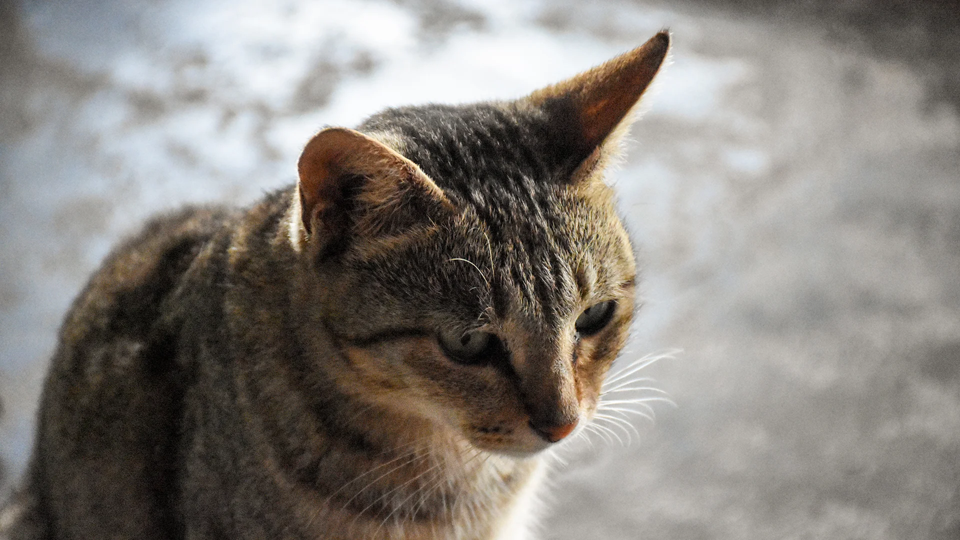 DSC_1640.jpg