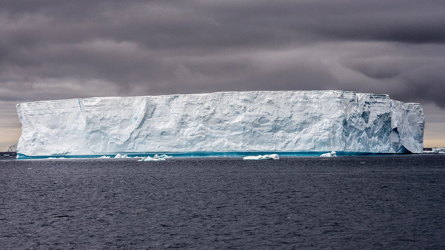DSC_8030.jpg