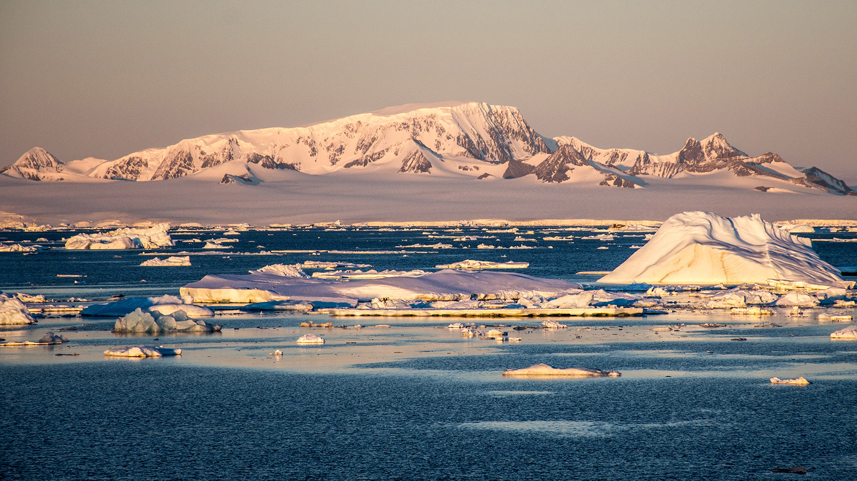 DSC_8347.jpg