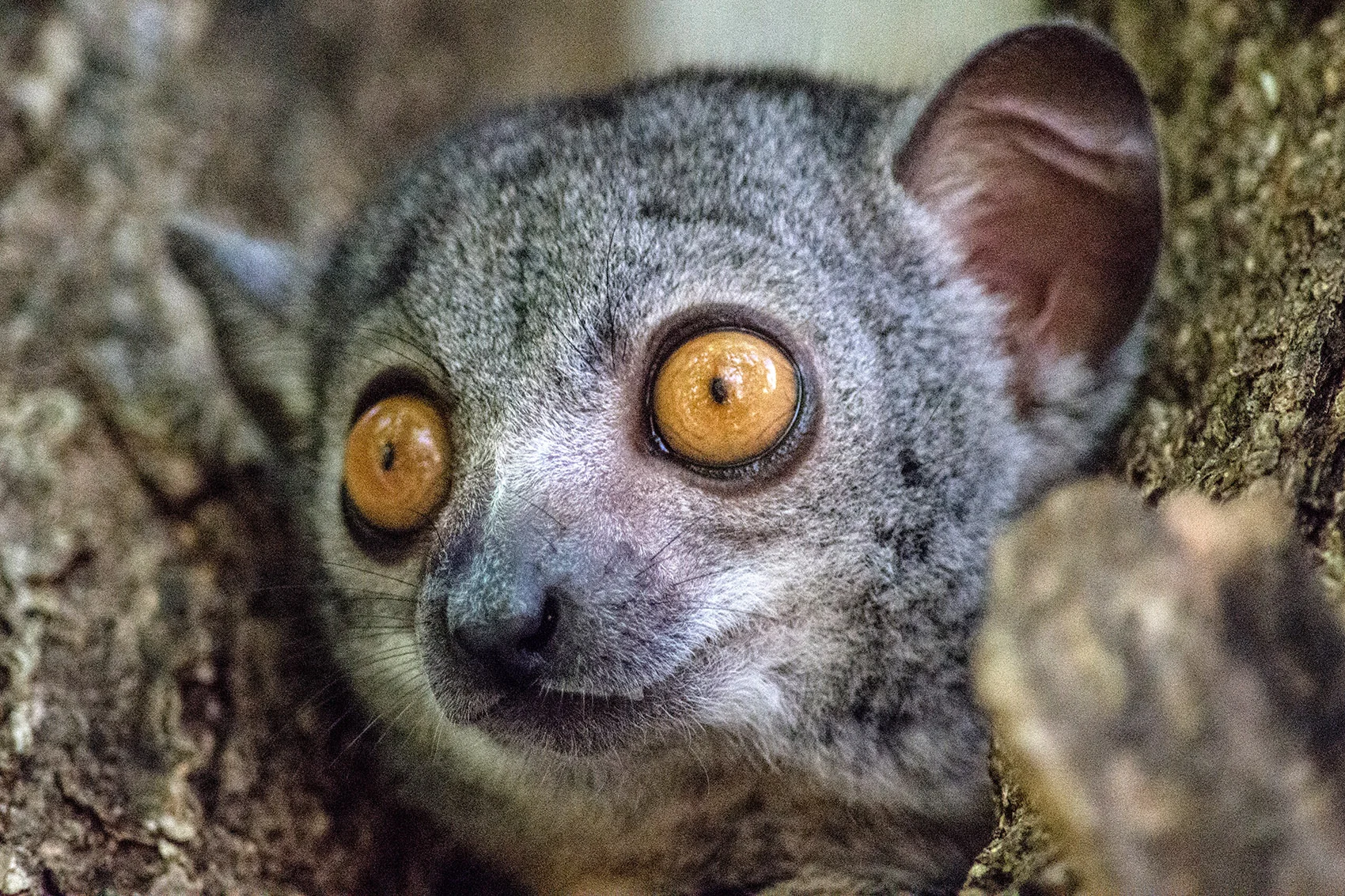 DSC_2134.jpg