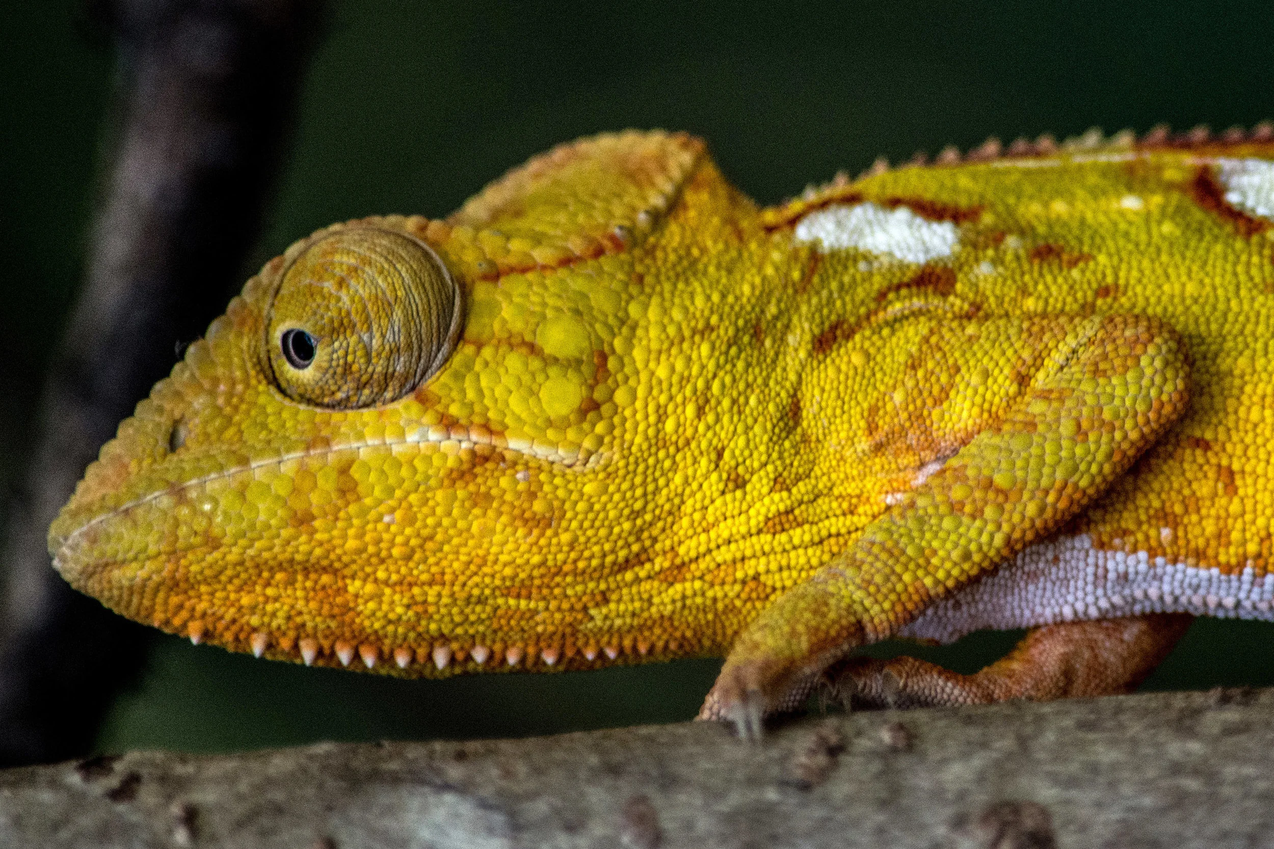 DSC_2228.jpg