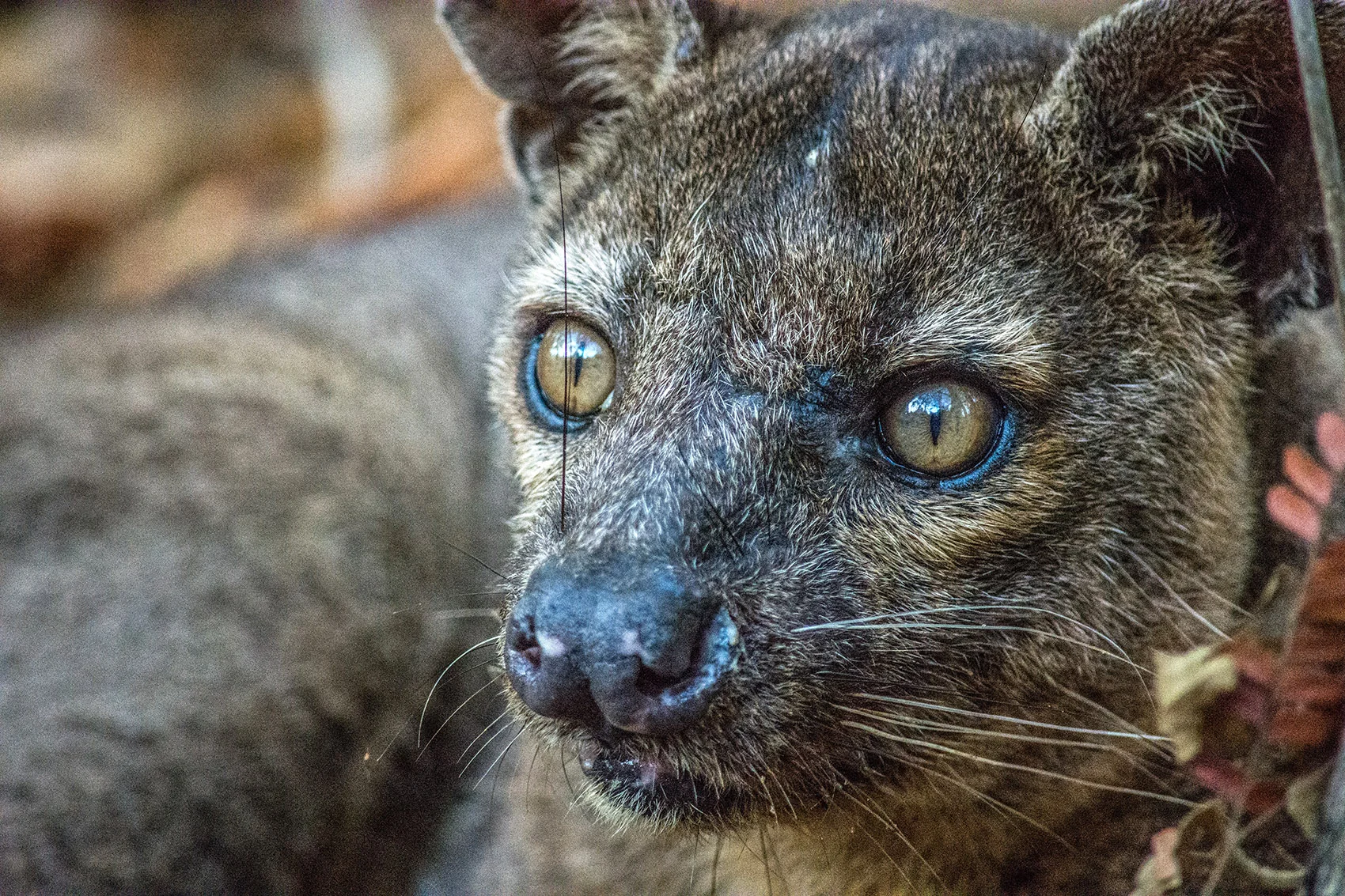 DSC_1830.jpg
