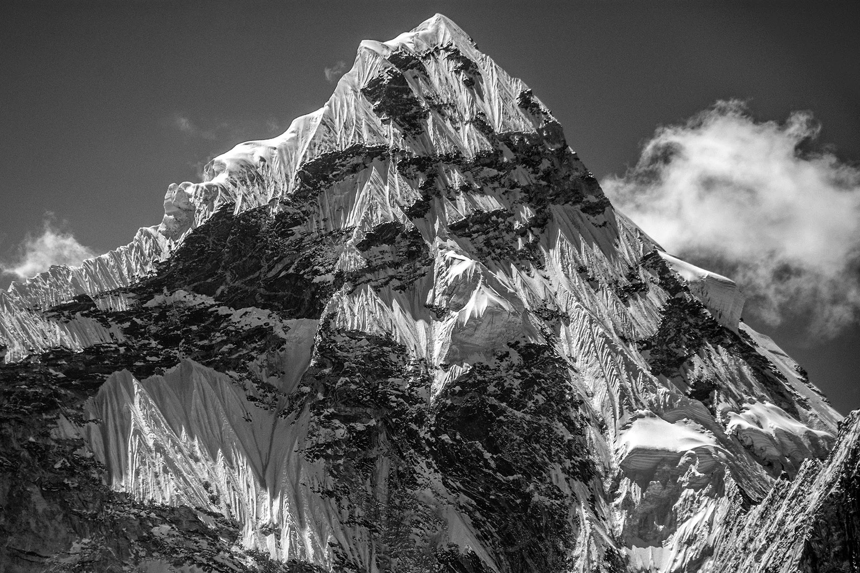 DSC_0560.jpg