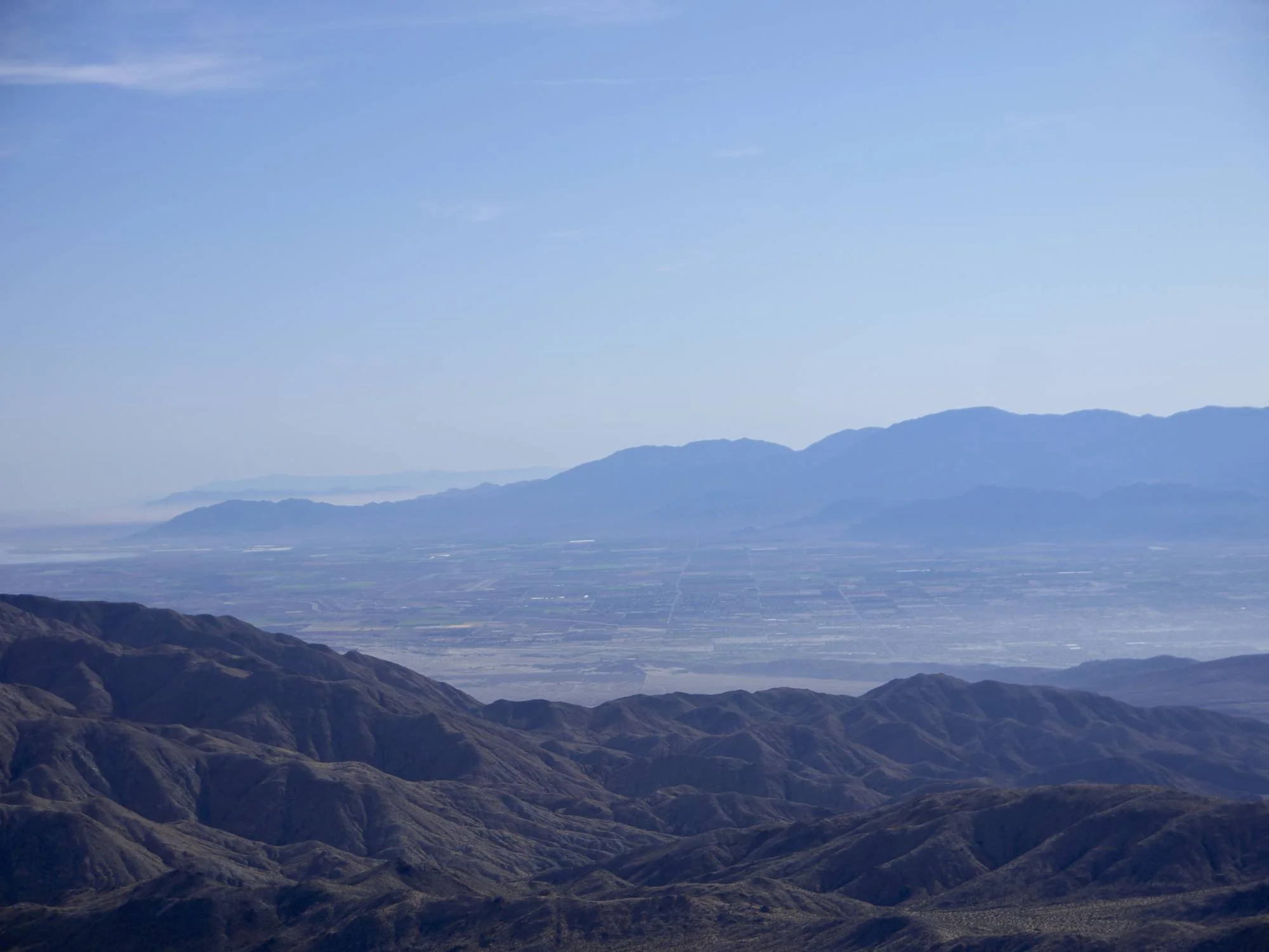 Look to Palm Springs.jpg