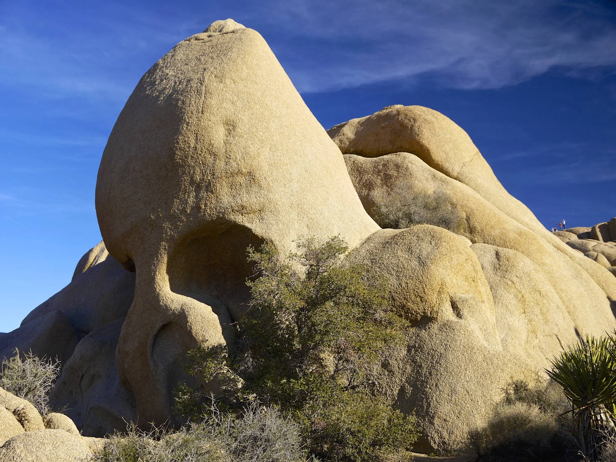 Skull Rock.jpg