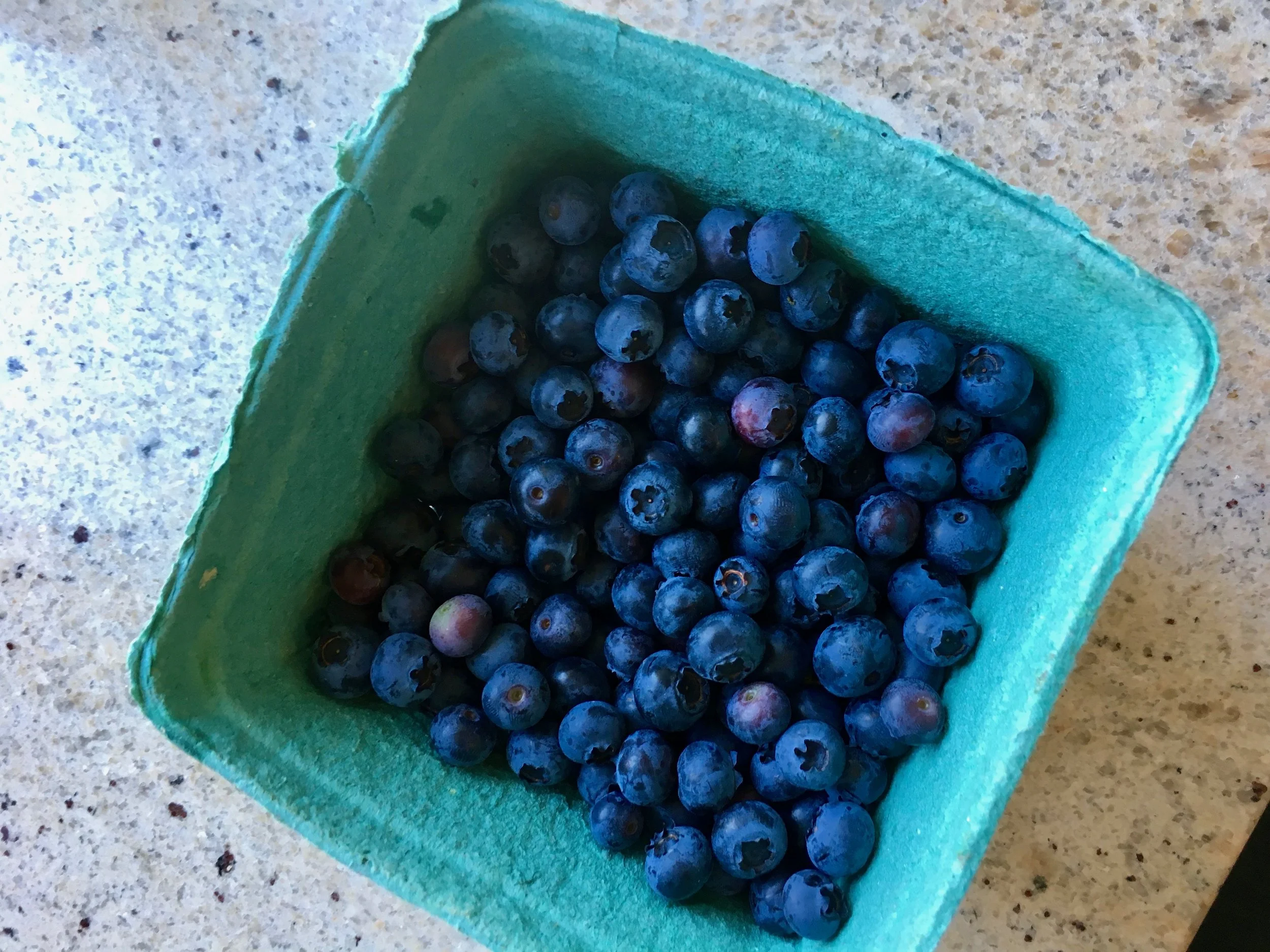 Blueberries from our backyard.