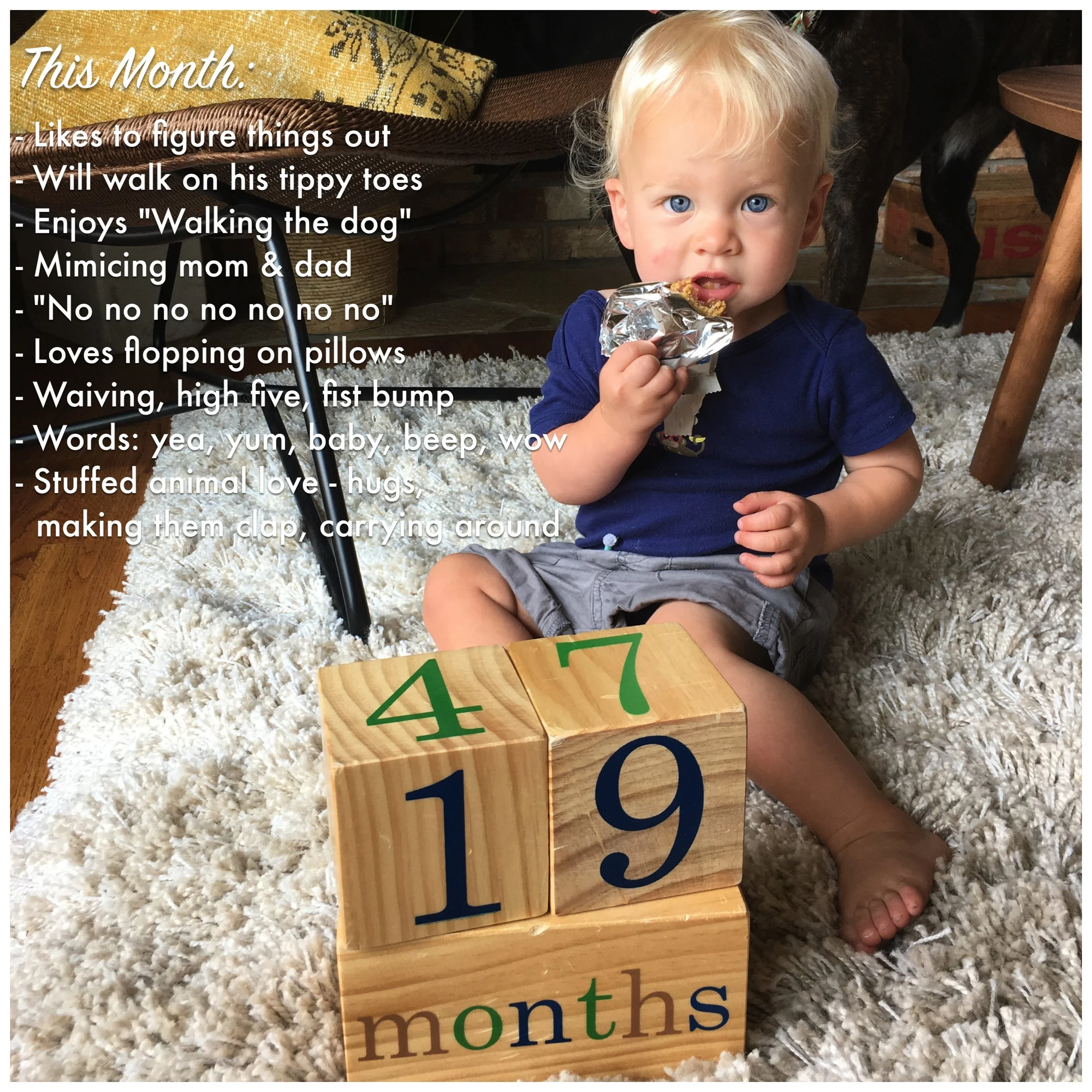 19_month_desc.jpg