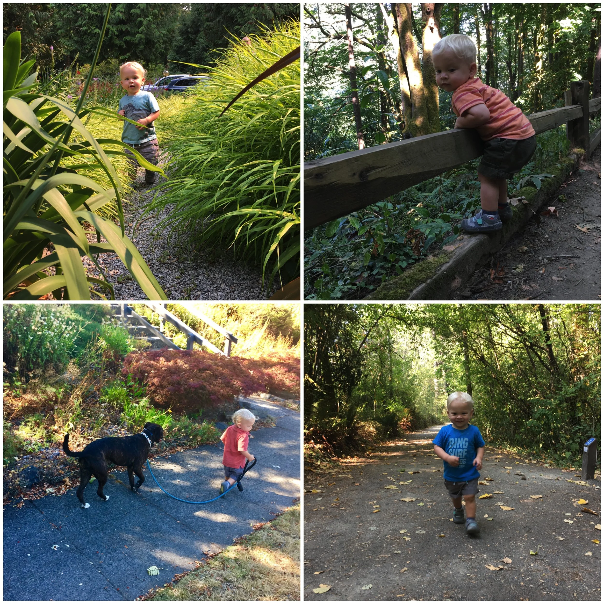 walking-exploring.jpg