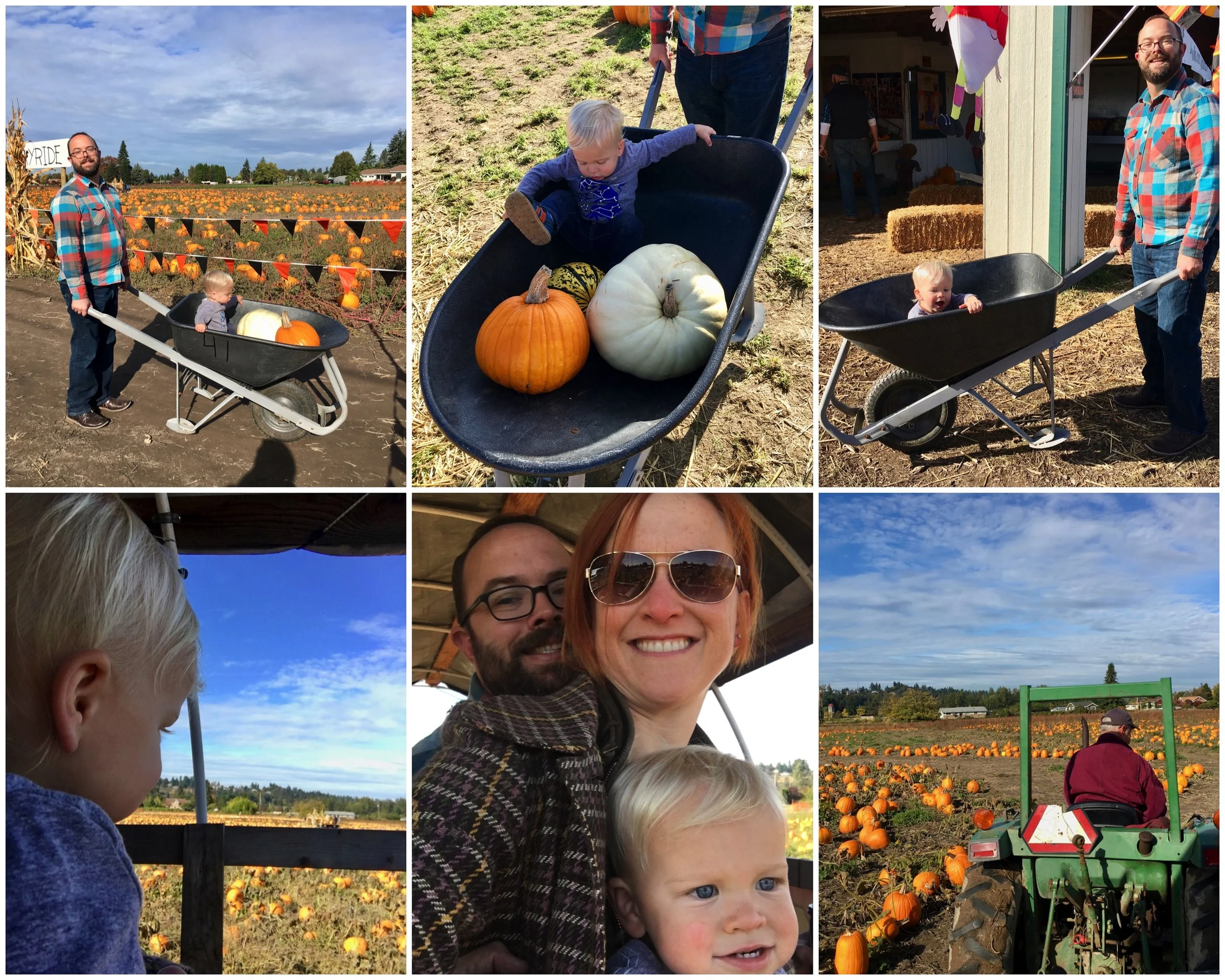 wheelbarrow_tractorrides.jpg