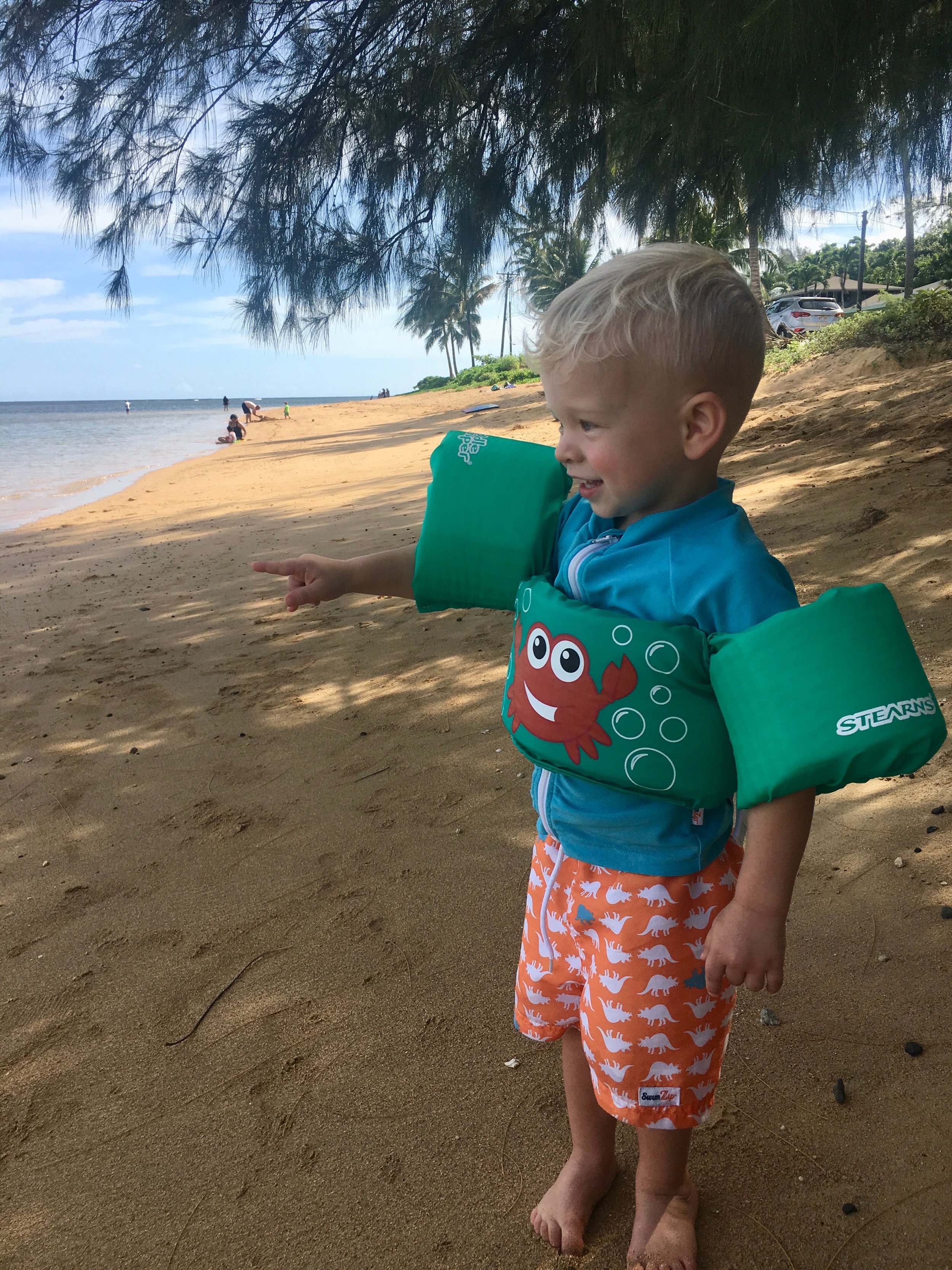 Look Crabs! Water! at Anini Beach 