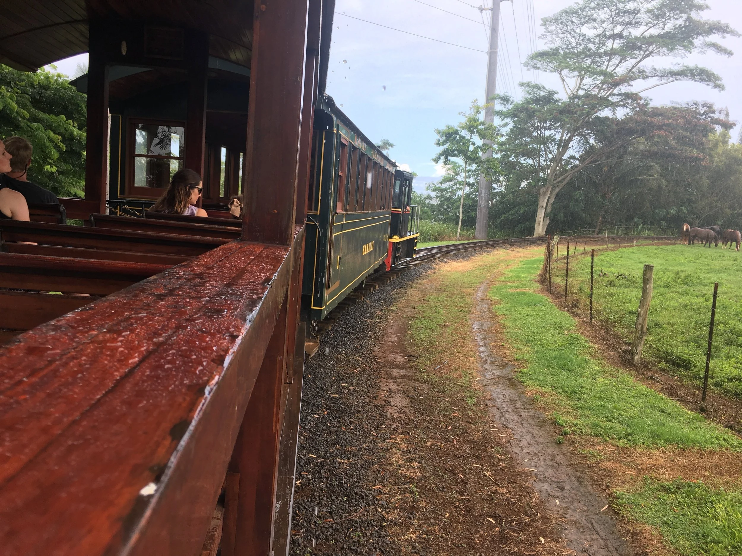 Chuga-choo-choo on the Train