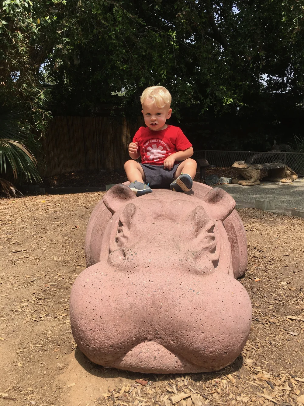 San Diego Zoo: Riding the Hippo