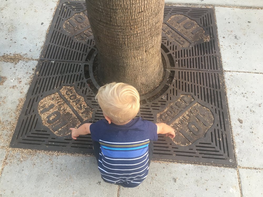 Caleb discovers Hwy 101