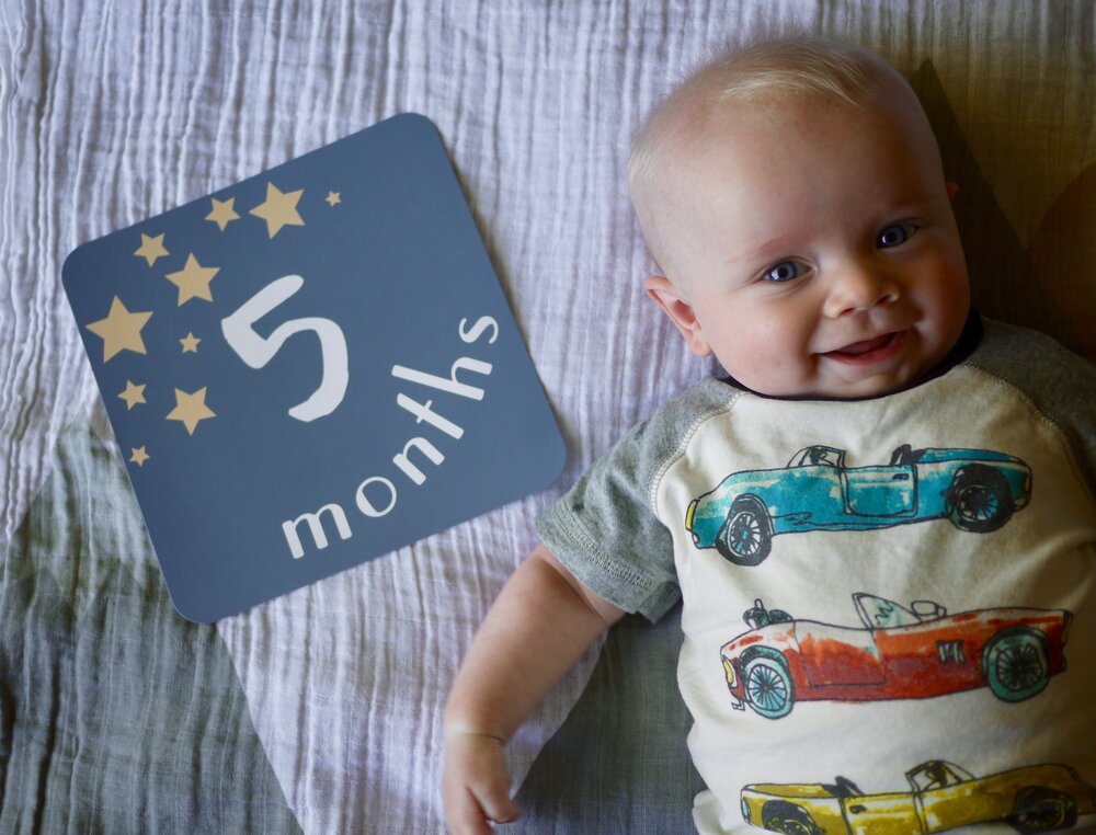 5mo-a.jpg