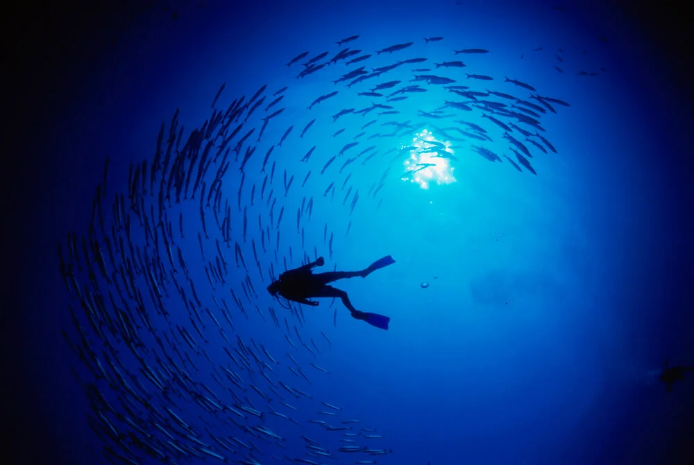 Help! I've Got Scuba Ear Problems After Diving!