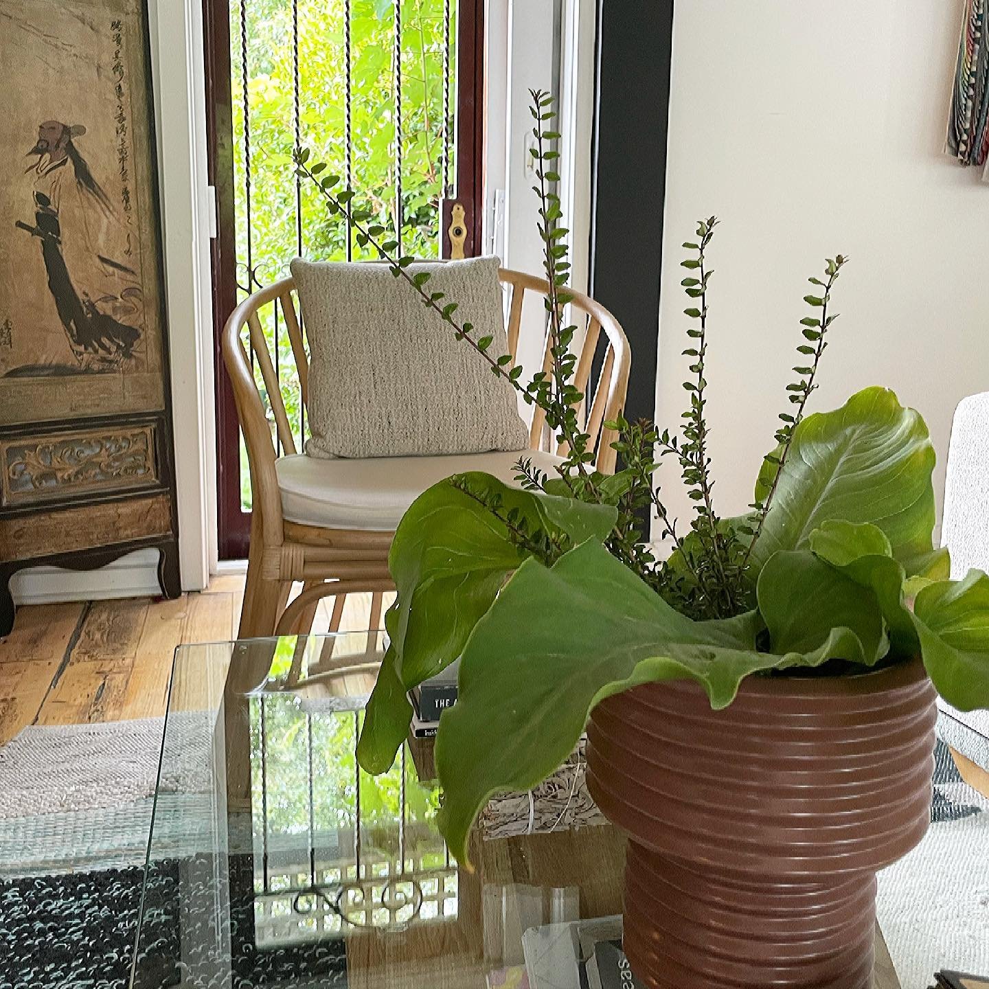 SOul Shapes Sass.jpeg