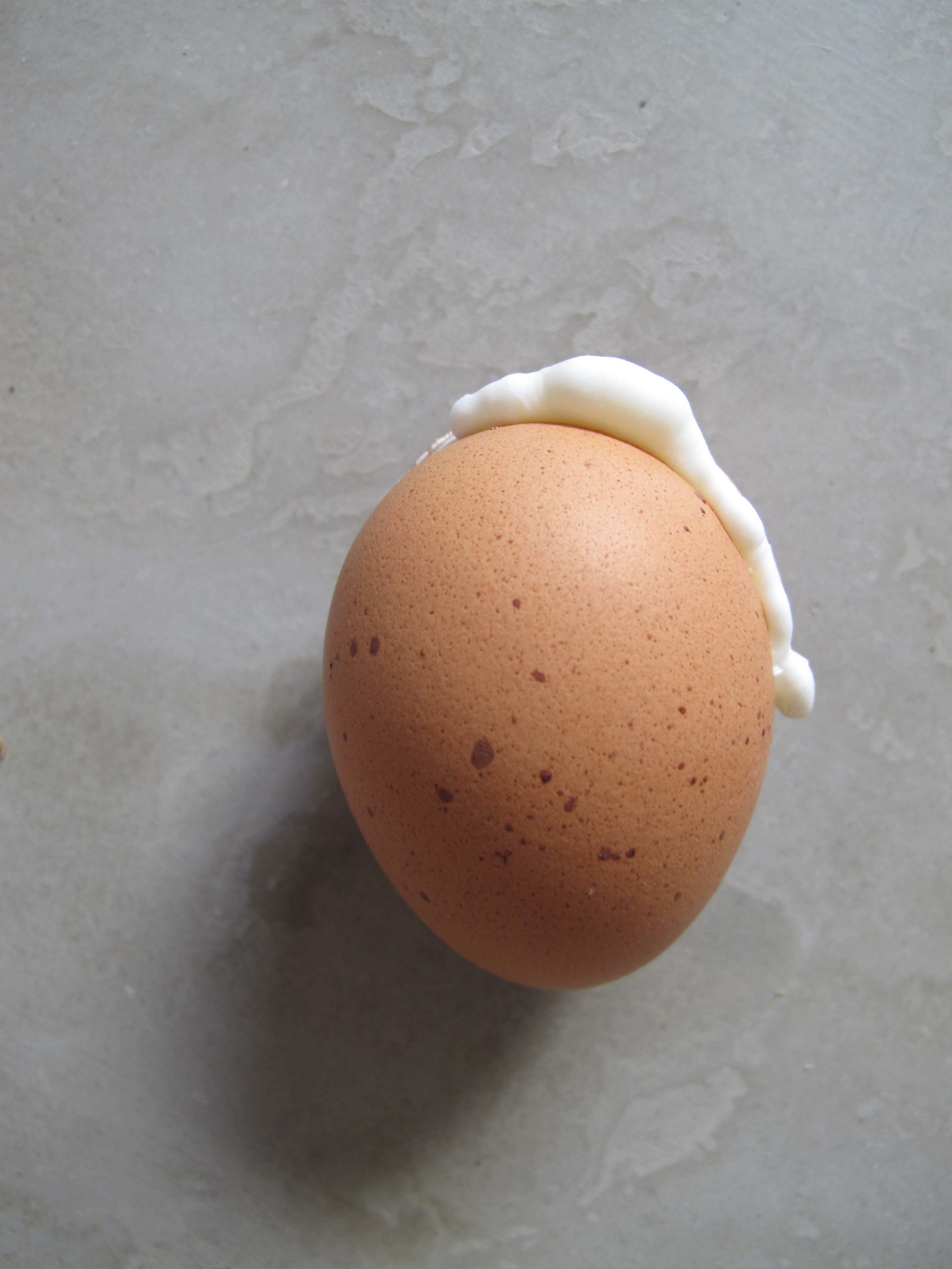 eggs'orbitant. 2015