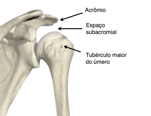Anatomia do ombro e espaço subacromial