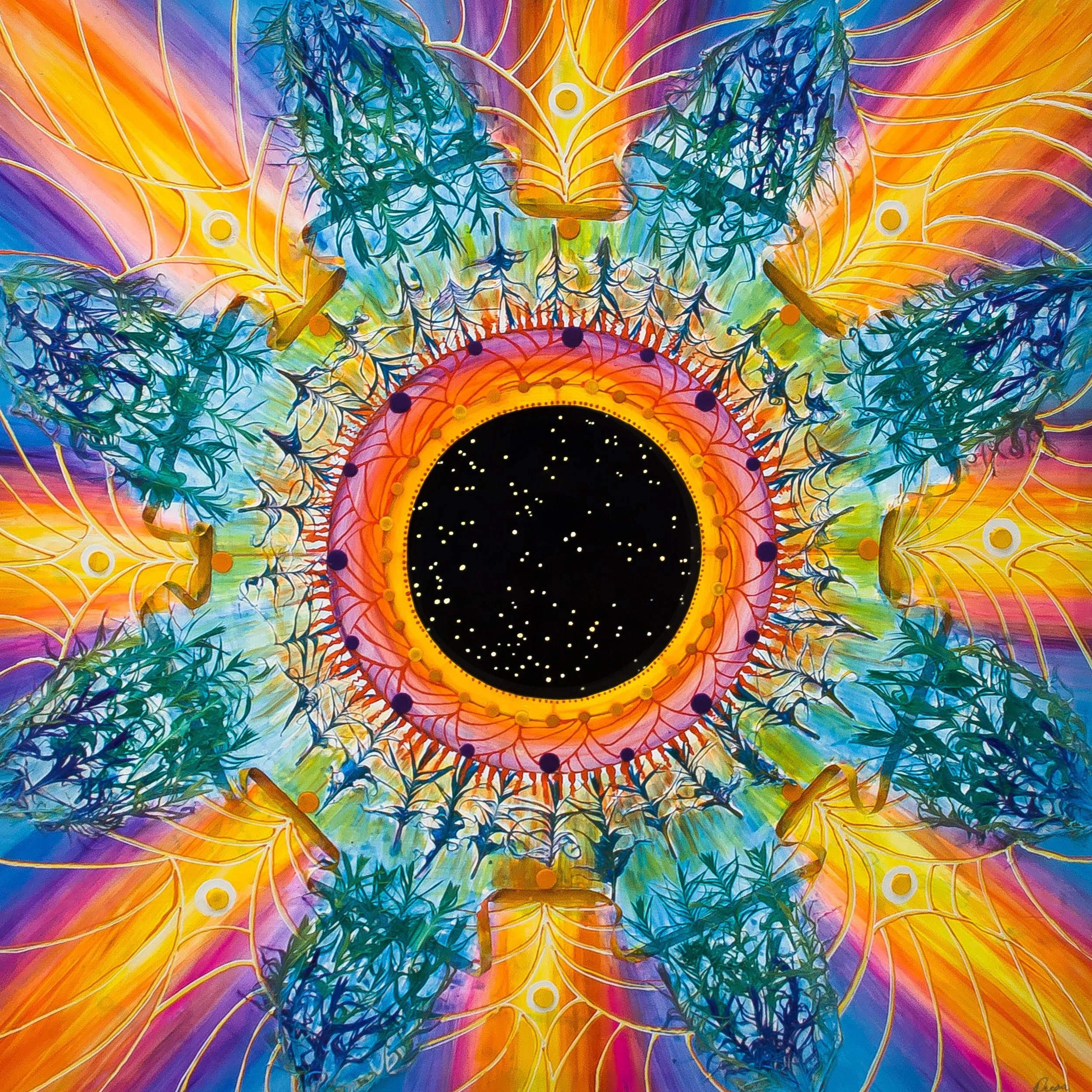 A colorful, symmetrical, kaleidoscopic pattern with a black central circle filled with small white dots resembling stars. Surrounding the circle are vibrant rainbow colors, spider web-like structures, and leaf shapes arranged in a circular formation.