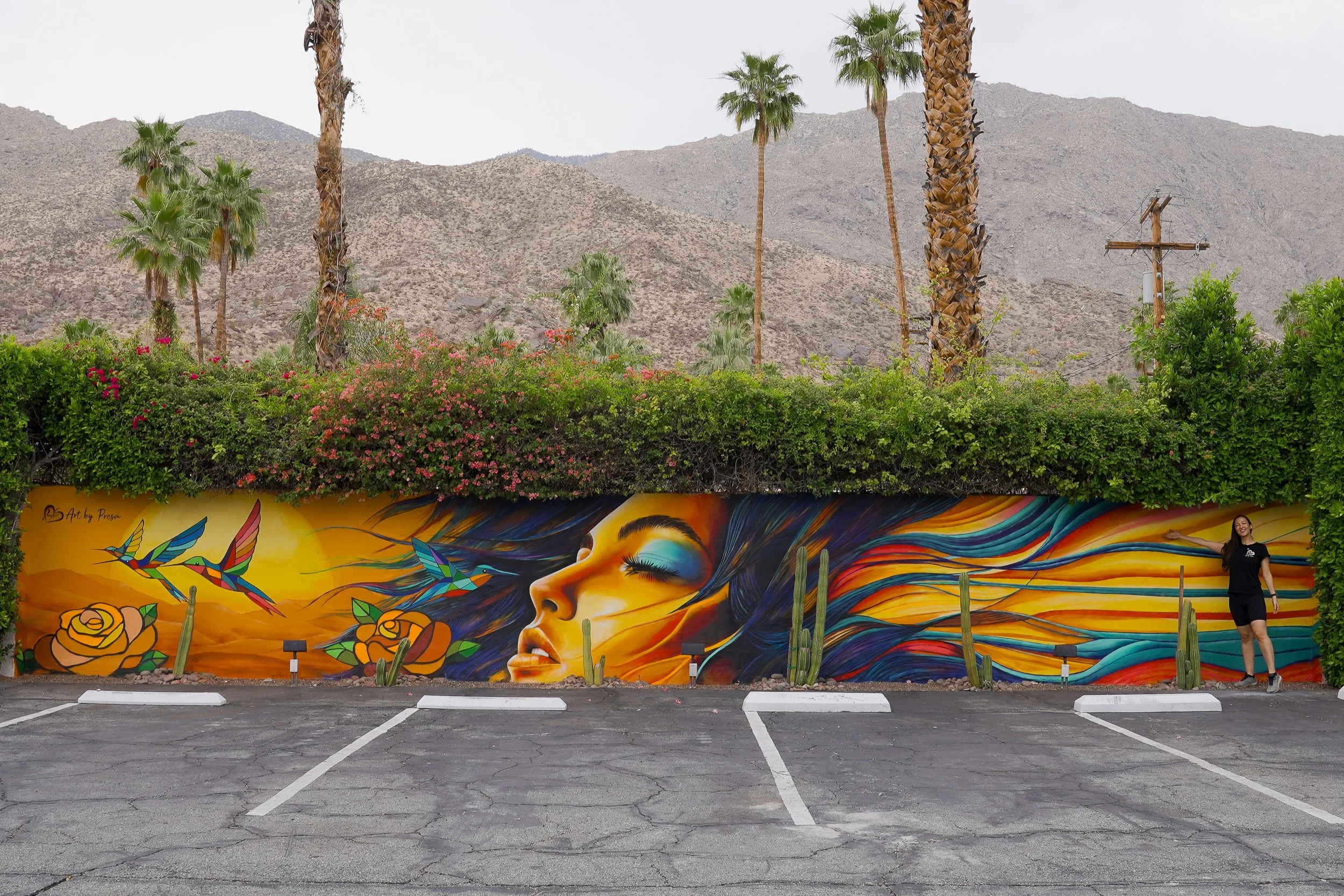 Spirit of Sofia: Desert Reverie - Exterior Public Mural