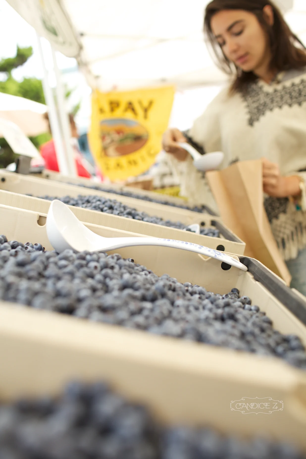 Noe Valley Organic Farmer's Market 1.jpg