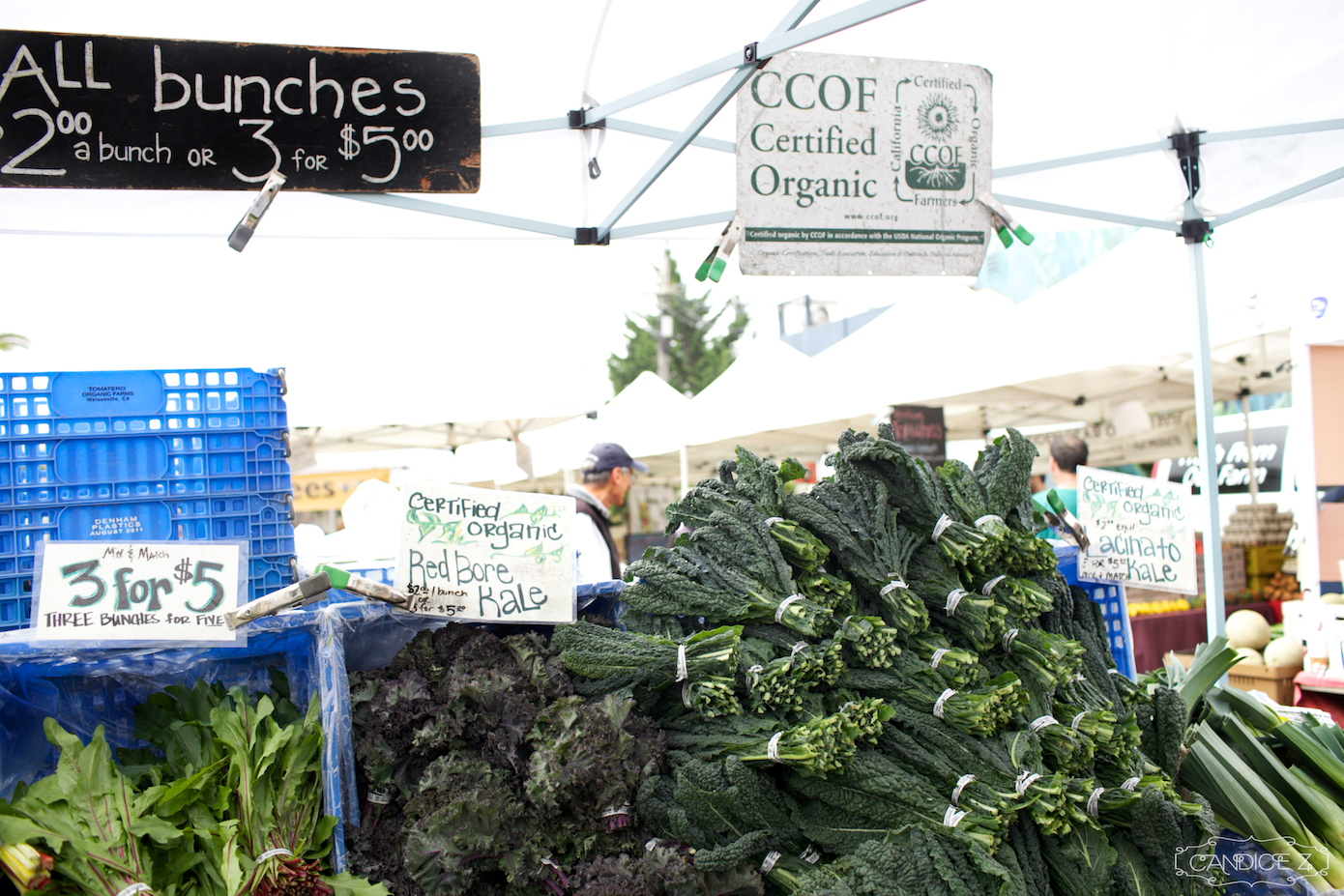 Noe Valley Organic Farmer's Market.jpg