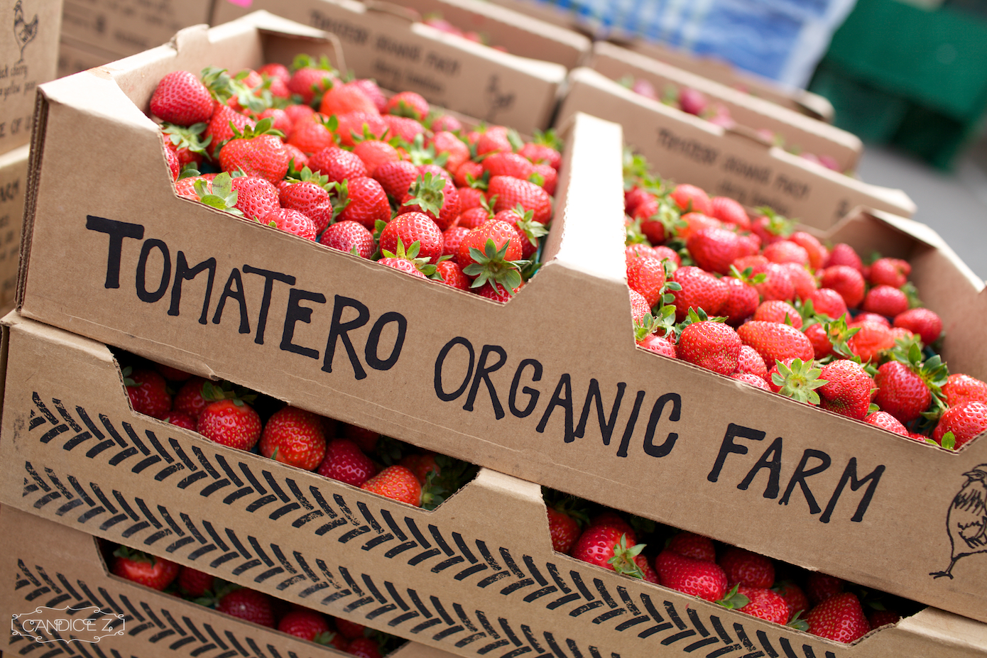 Tomatero Organic Farm.jpg