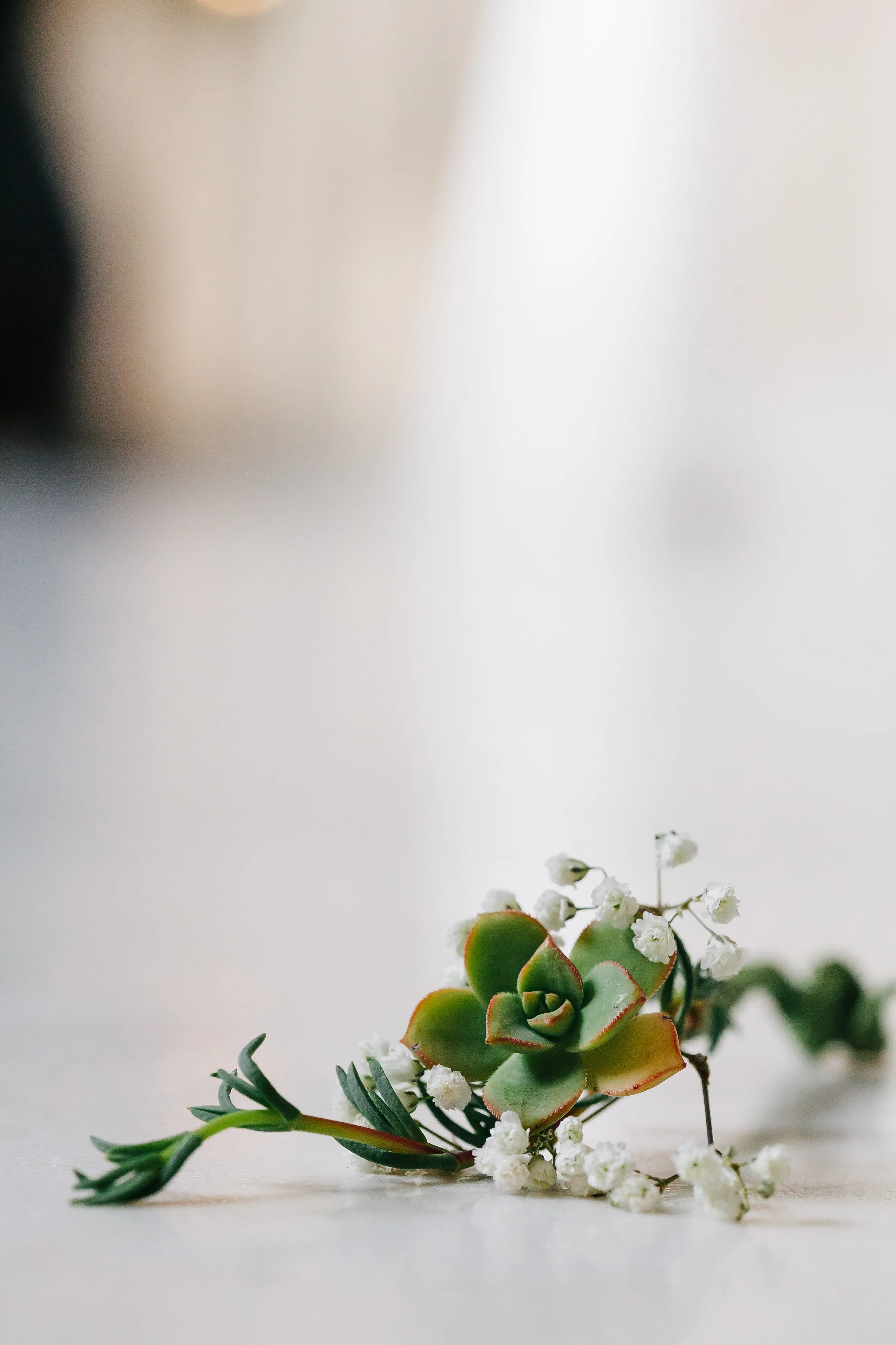 Heather&MateoWedding-0013.jpg