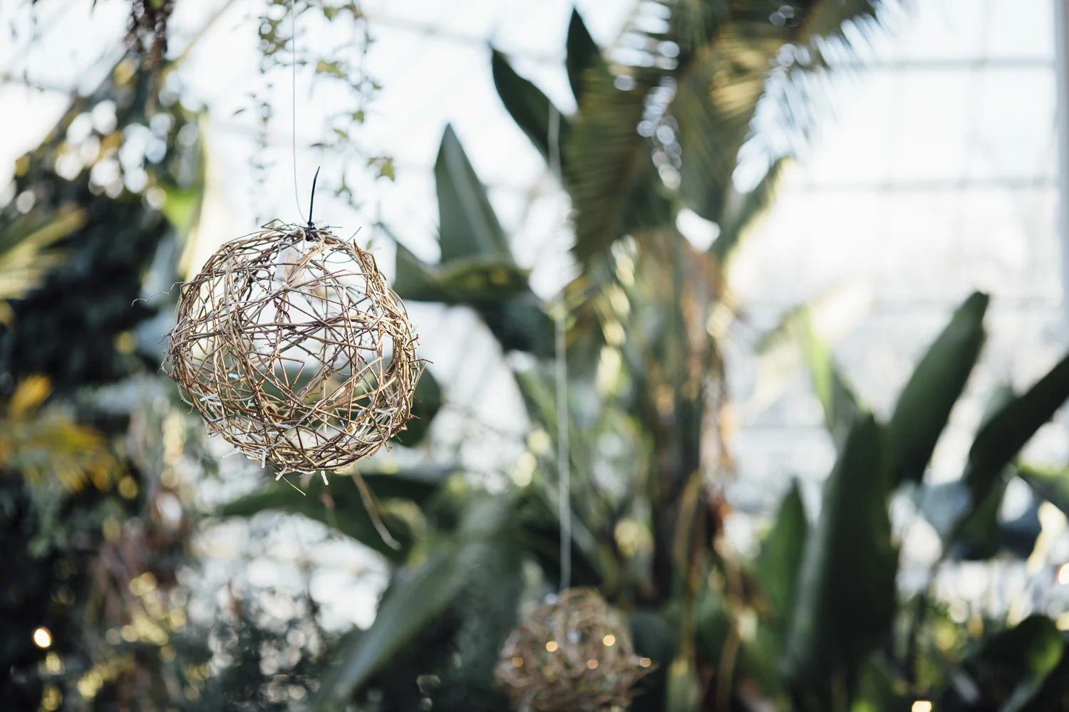 palm-house-wedding-264.jpg