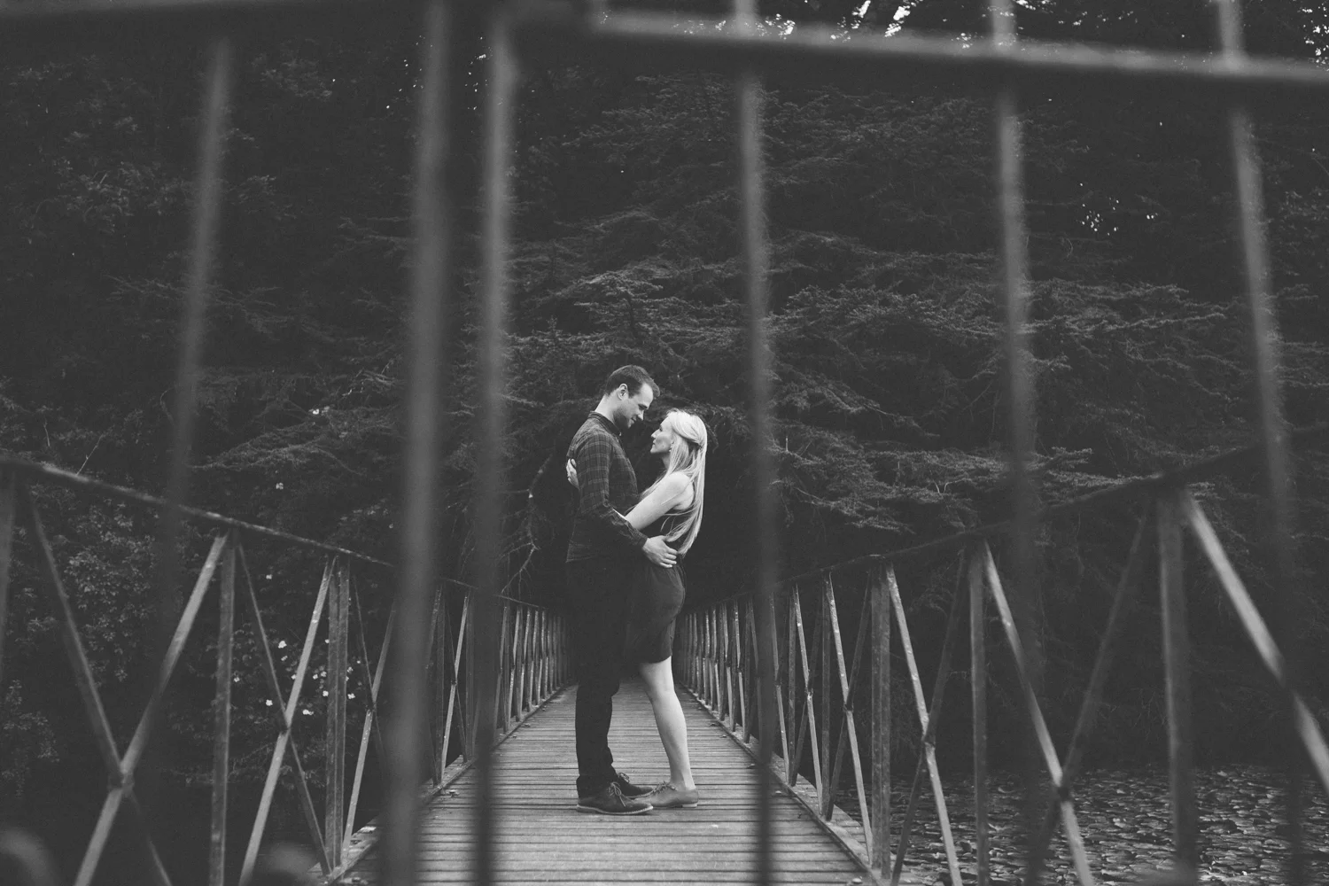 Blenheim-engagement-49.jpg