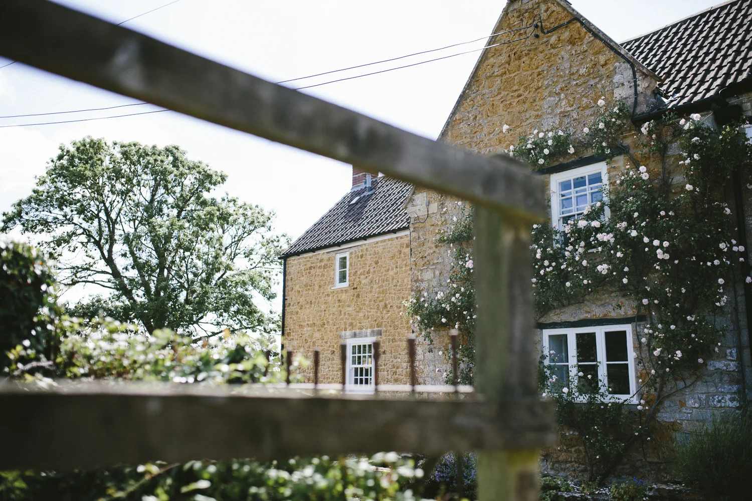Galhampton-Wedding-1.jpg