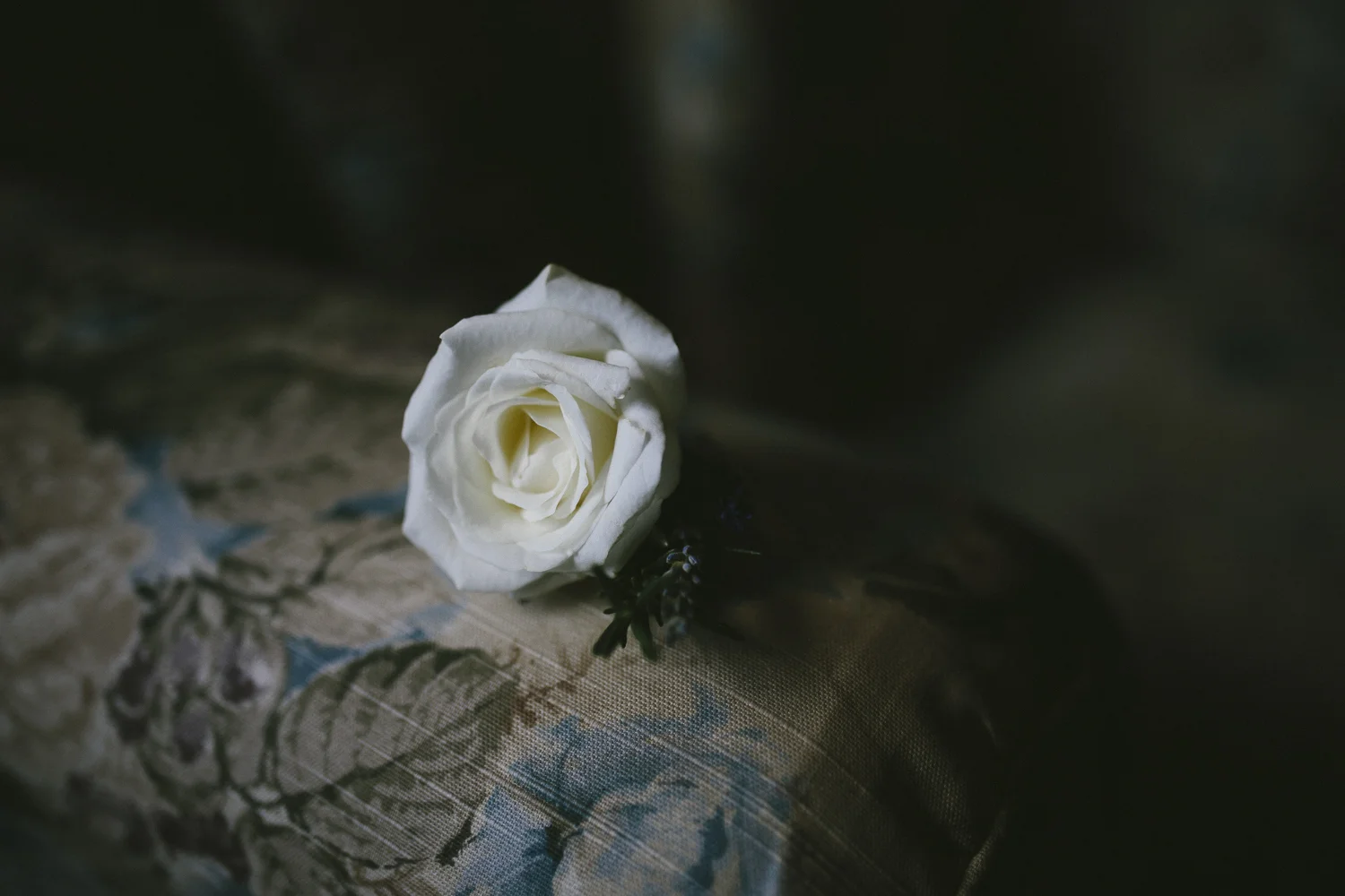 Galhampton-Wedding-13.jpg