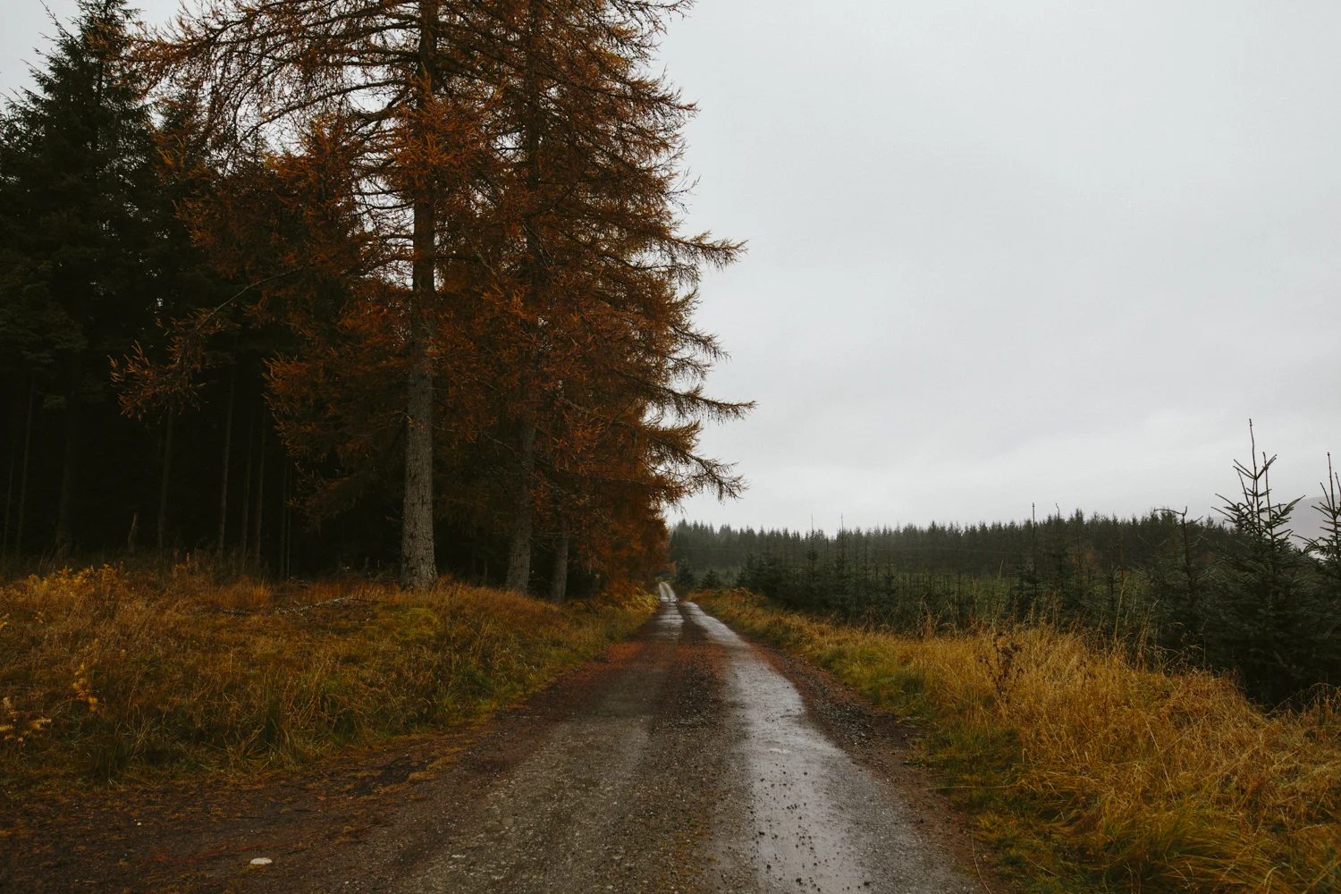 631C9883.jpg