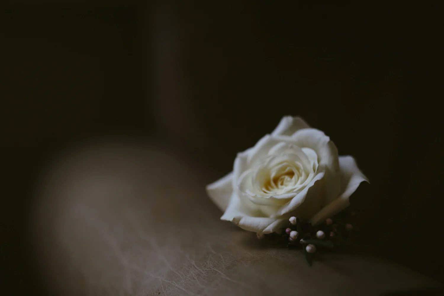 Ruth & Nick-1.jpg