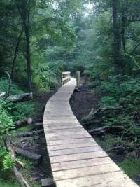 Boardwalk at Whipple Hill