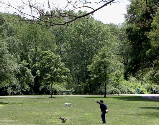 Open field at Beaver Brook Reservation