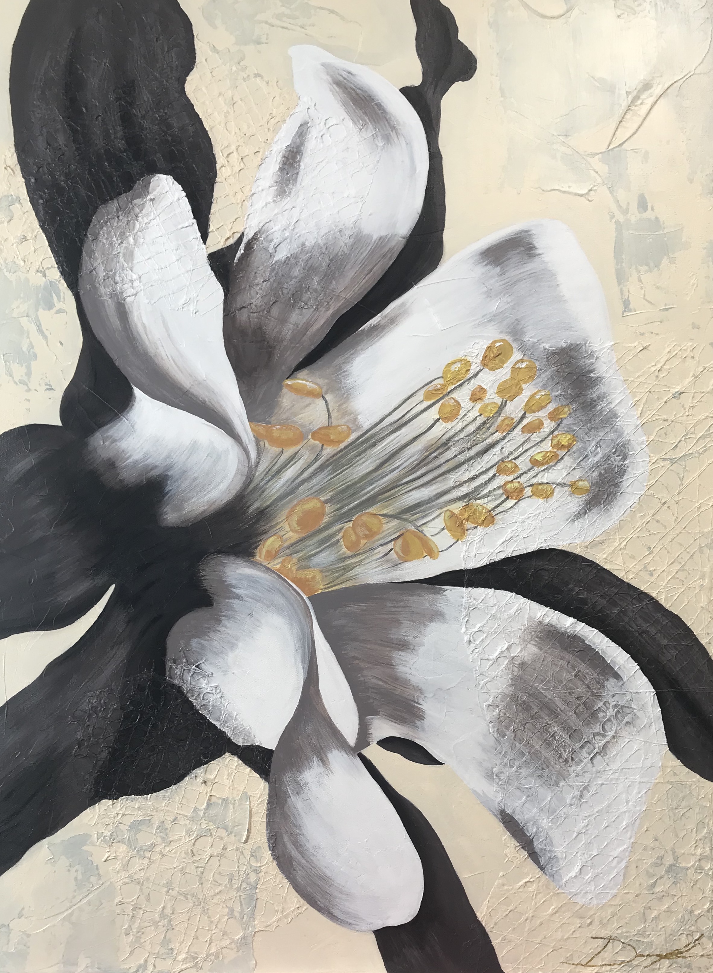 Colorado's Flower 310719