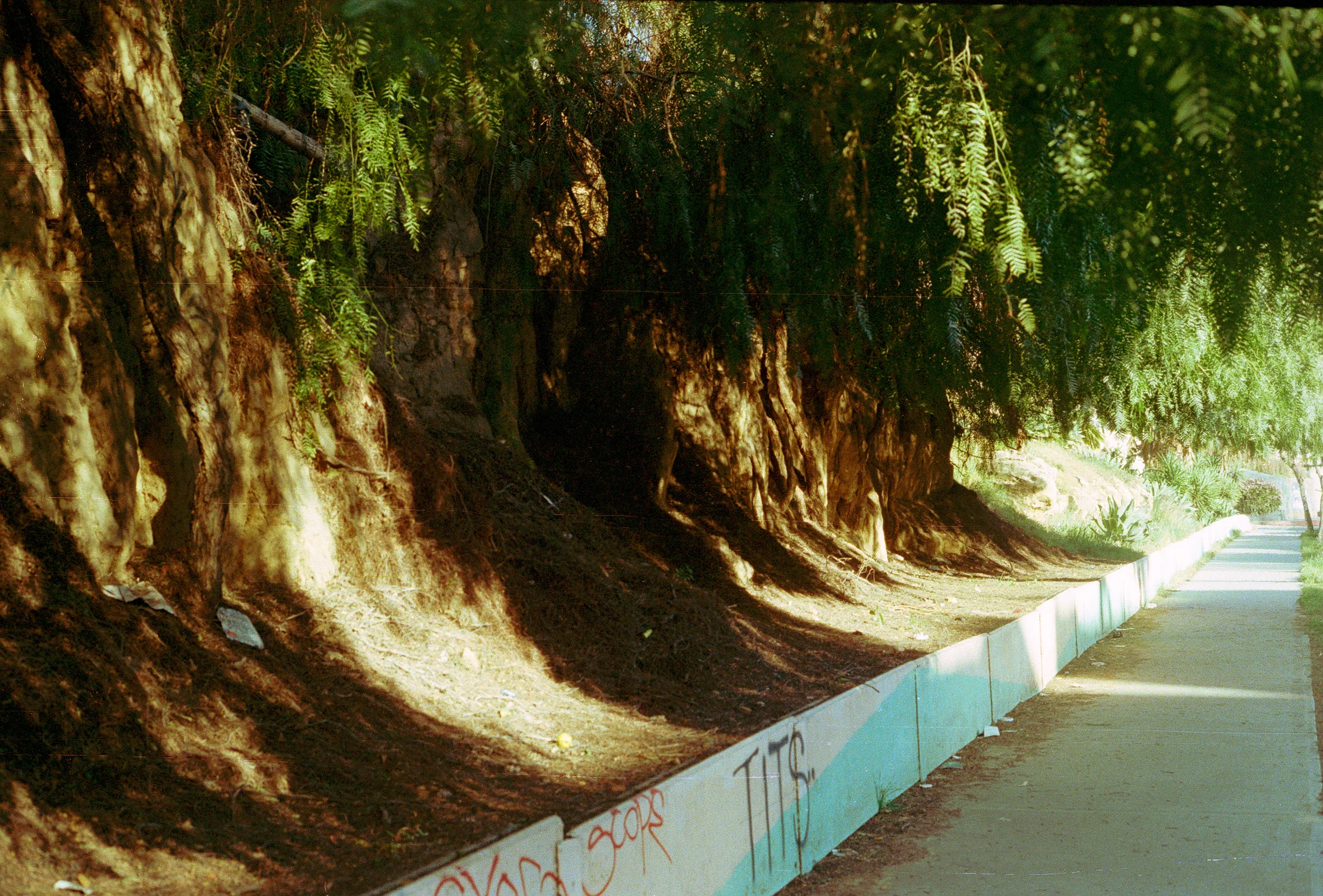 35mm-27.jpg