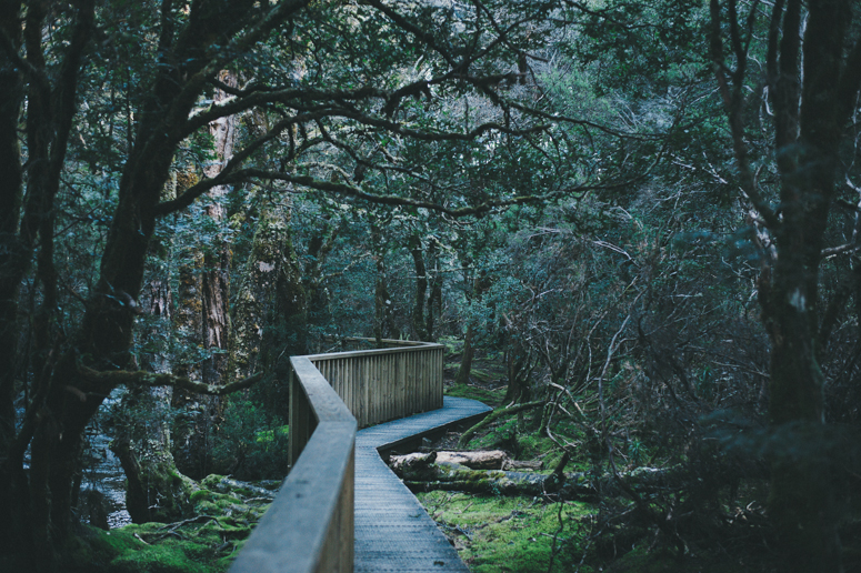 Tasmania 2013 -212.jpg
