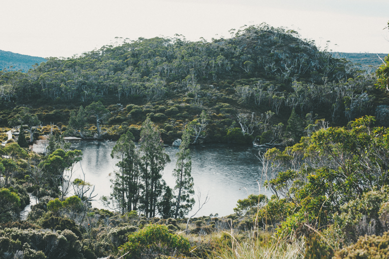 Tasmania 2013 -227.jpg