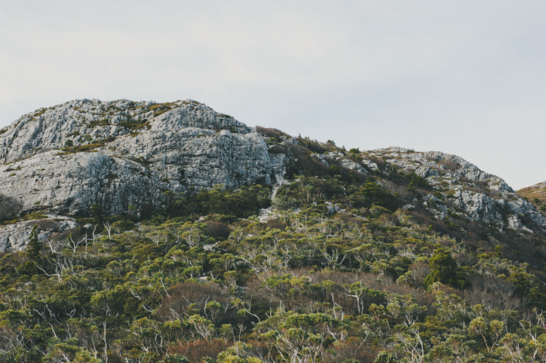 Tasmania 2013 -230.jpg